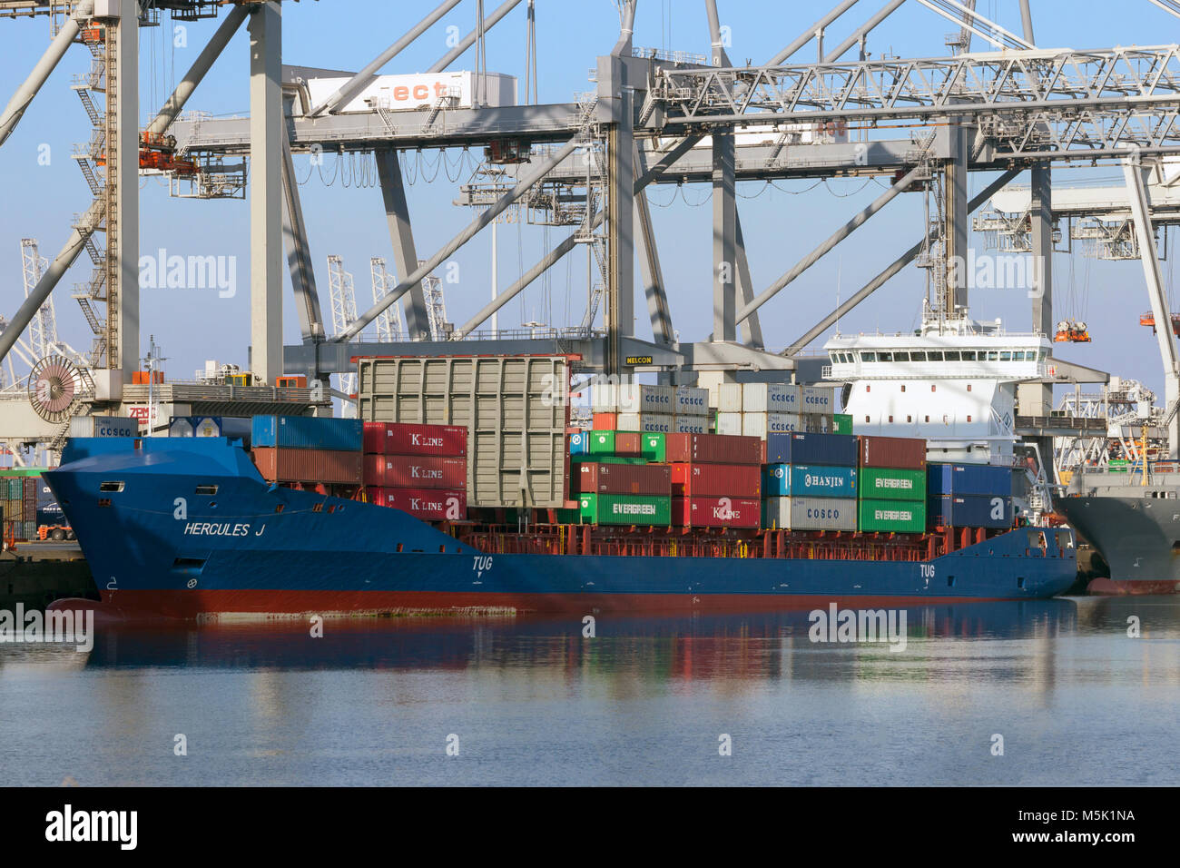 ROTTERDAM, Pays-Bas - SEP 8, 2012 : d'être chargés par des portiques à l'ECT Terminal dans le port de Rotterdam. Banque D'Images ROTTERDAM, Pays-Bas - SEP 8, 2012 : d'être chargés par des portiques à l'ECT Terminal dans le port de Rotterdam. Banque D'Images