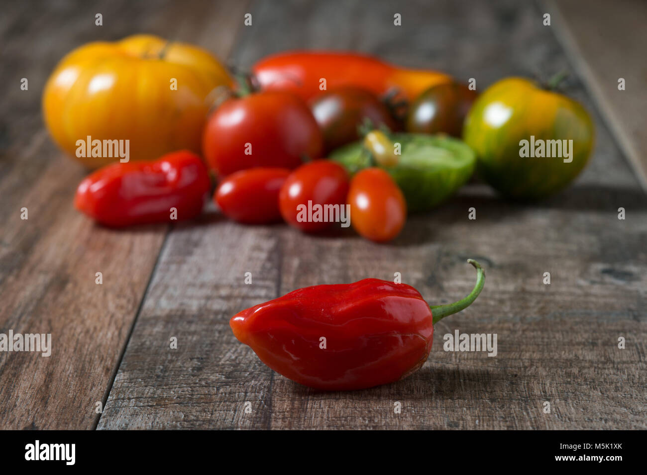 Close up of red hot chili avec tomates colorées en arrière-plan. Profondeur de champ, rustique en arrière-plan. Banque D'Images