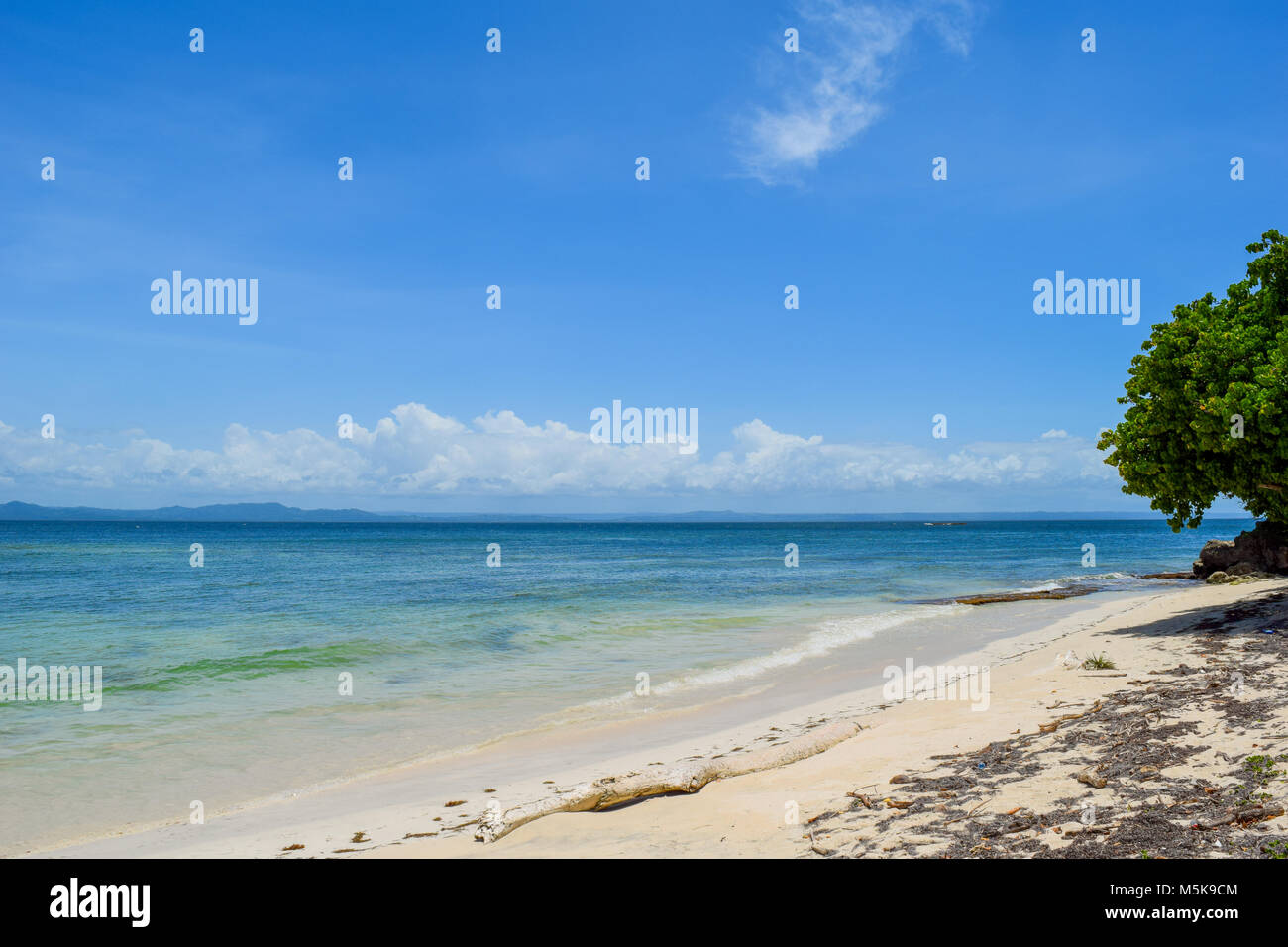 Belle plage avec ciel bleu et l'eau turquoise, l'île tropicale Banque D'Images