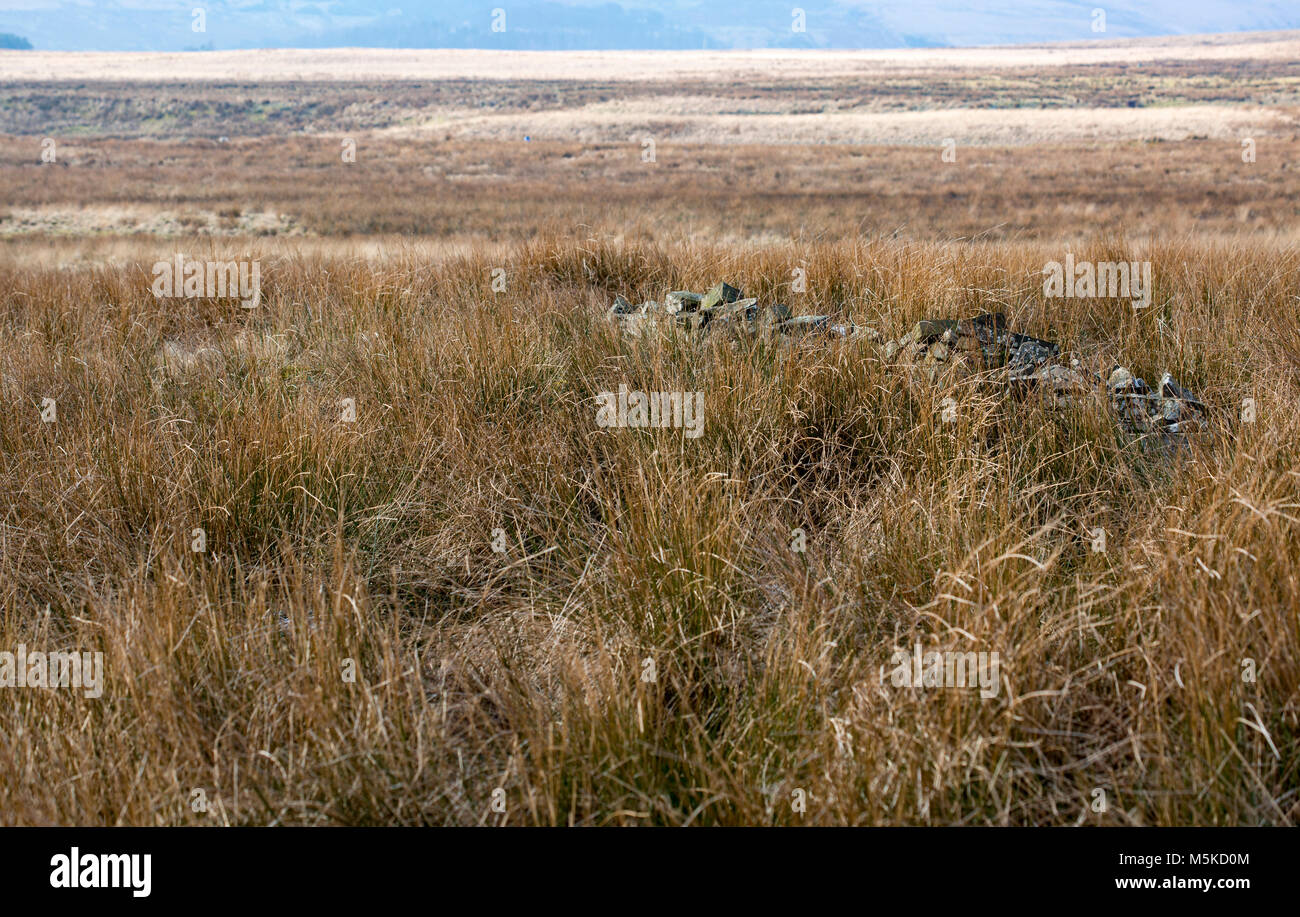 Ferme en ruine sur Turton Moor, West Pennine Moors, Lancashire, Angleterre. Banque D'Images