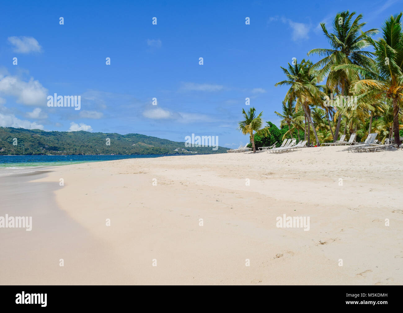 Belle plage avec des palmiers et ciel bleu, l'eau turquoise de la mer des Caraïbes Banque D'Images