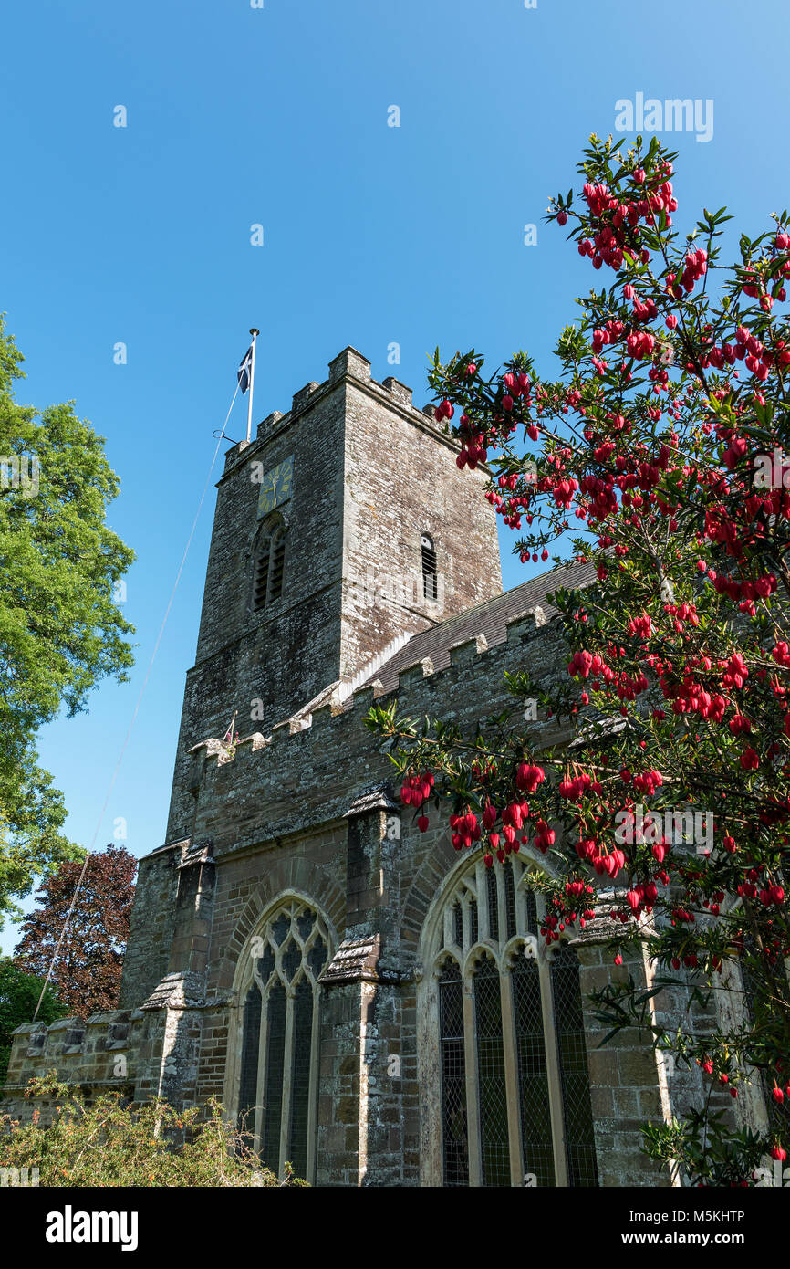 Prieuré st.allemands une grande église normande dans le village de st.allemands, sud-est de Cornwall, Angleterre, Grande-Bretagne, Royaume-Uni. Banque D'Images