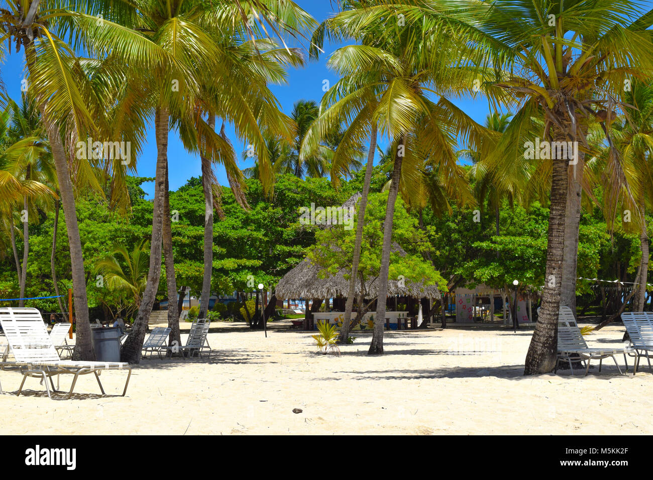 Belle île tropicale avec chaises longues et bar de plage beaucoup de palmiers Banque D'Images