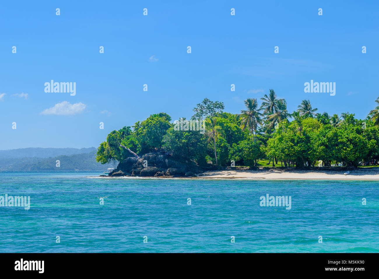 Belle plage avec des palmiers ciel bleu et l'eau turquoise, Cayo Levantado Banque D'Images