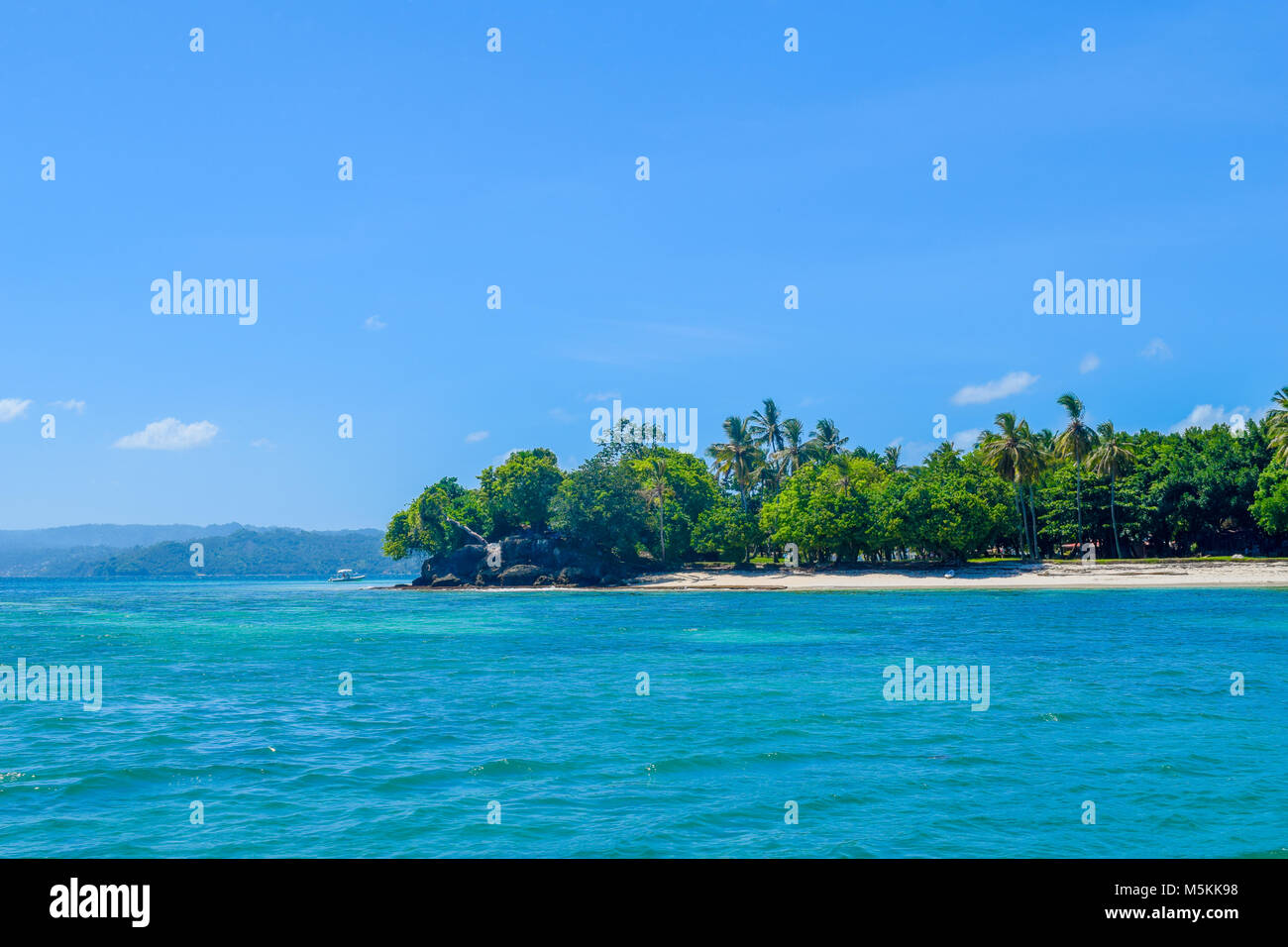 Belle plage avec des palmiers ciel bleu et l'eau turquoise, Cayo Levantado Banque D'Images