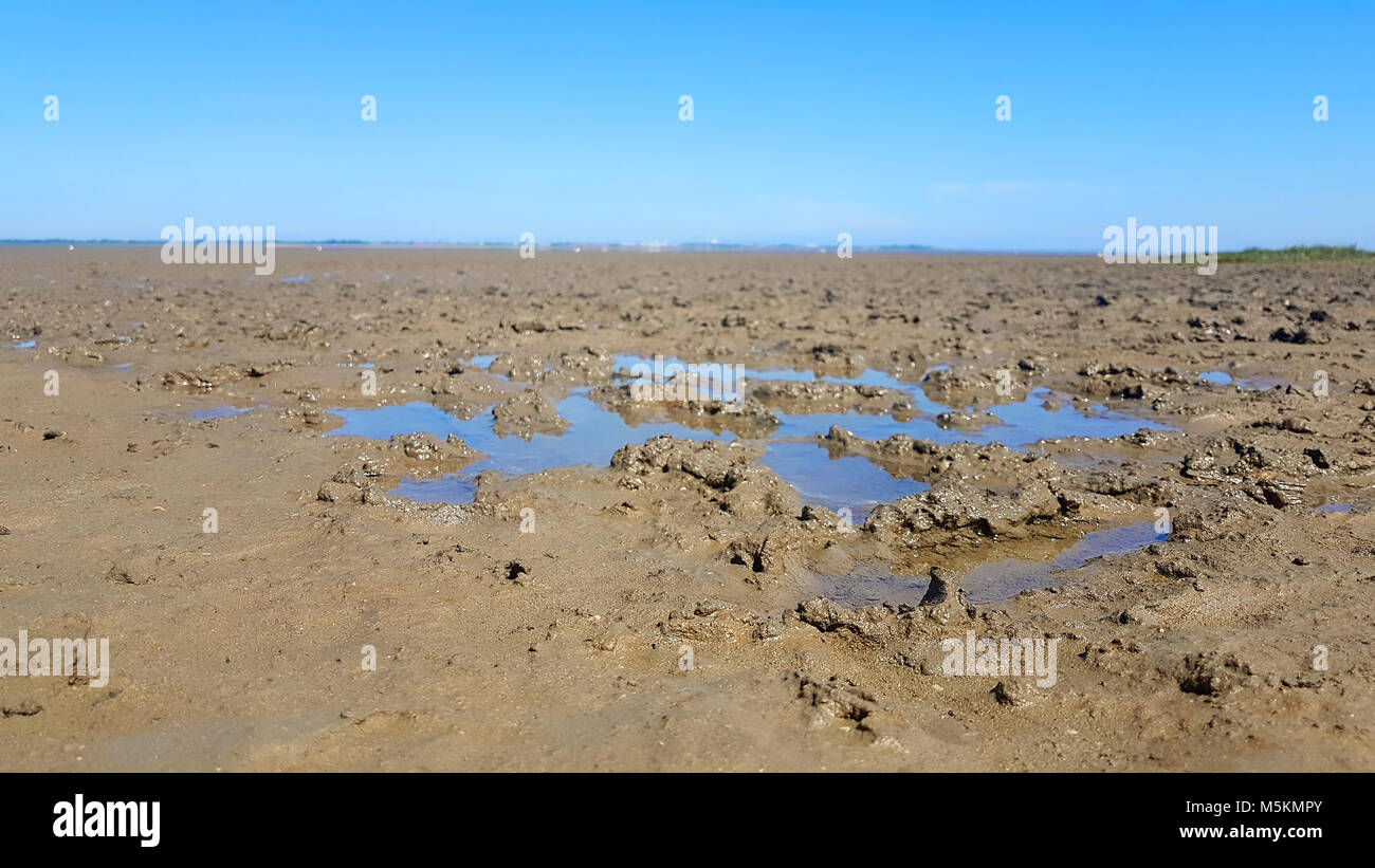 Mer du Nord par marée basse avec boue Banque D'Images