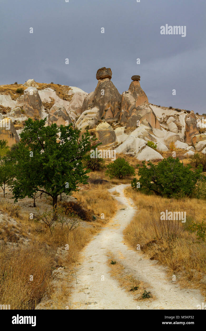 Formations de roche volcanique connu sous le nom de cheminées de fées de Cappadoce, Turquie Banque D'Images