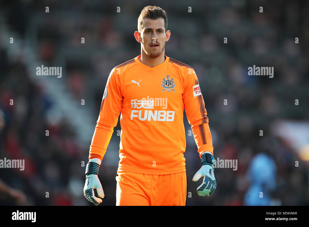 Newcastle United gardien Martin Dubravka au cours de la Premier League match au stade de vitalité, de Bournemouth. Banque D'Images