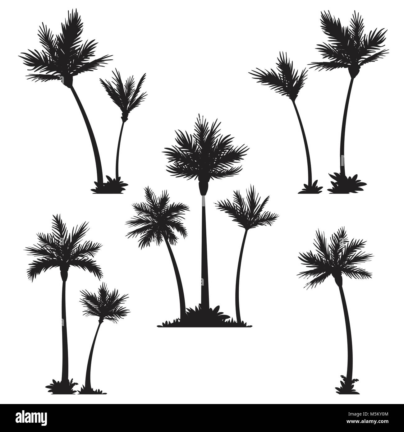 Palmiers tropicaux, silhouettes noires. Illustration de Vecteur