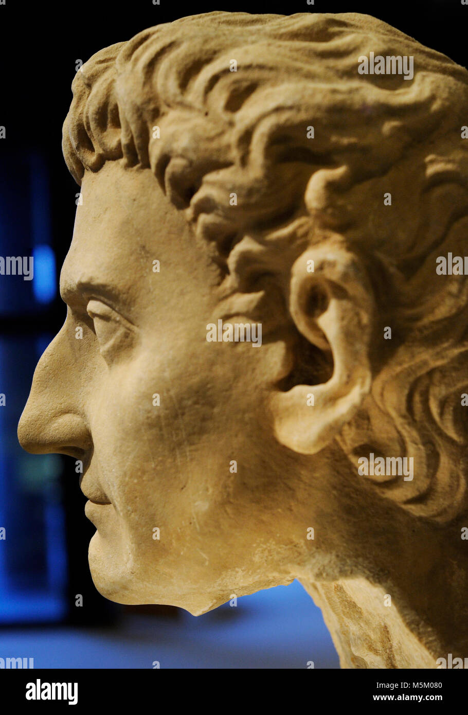 Nerva (30-98). Empereur Romain. Buste. 96-98 AD. En. Musée romain-germanique. Cologne. L'Allemagne. Banque D'Images