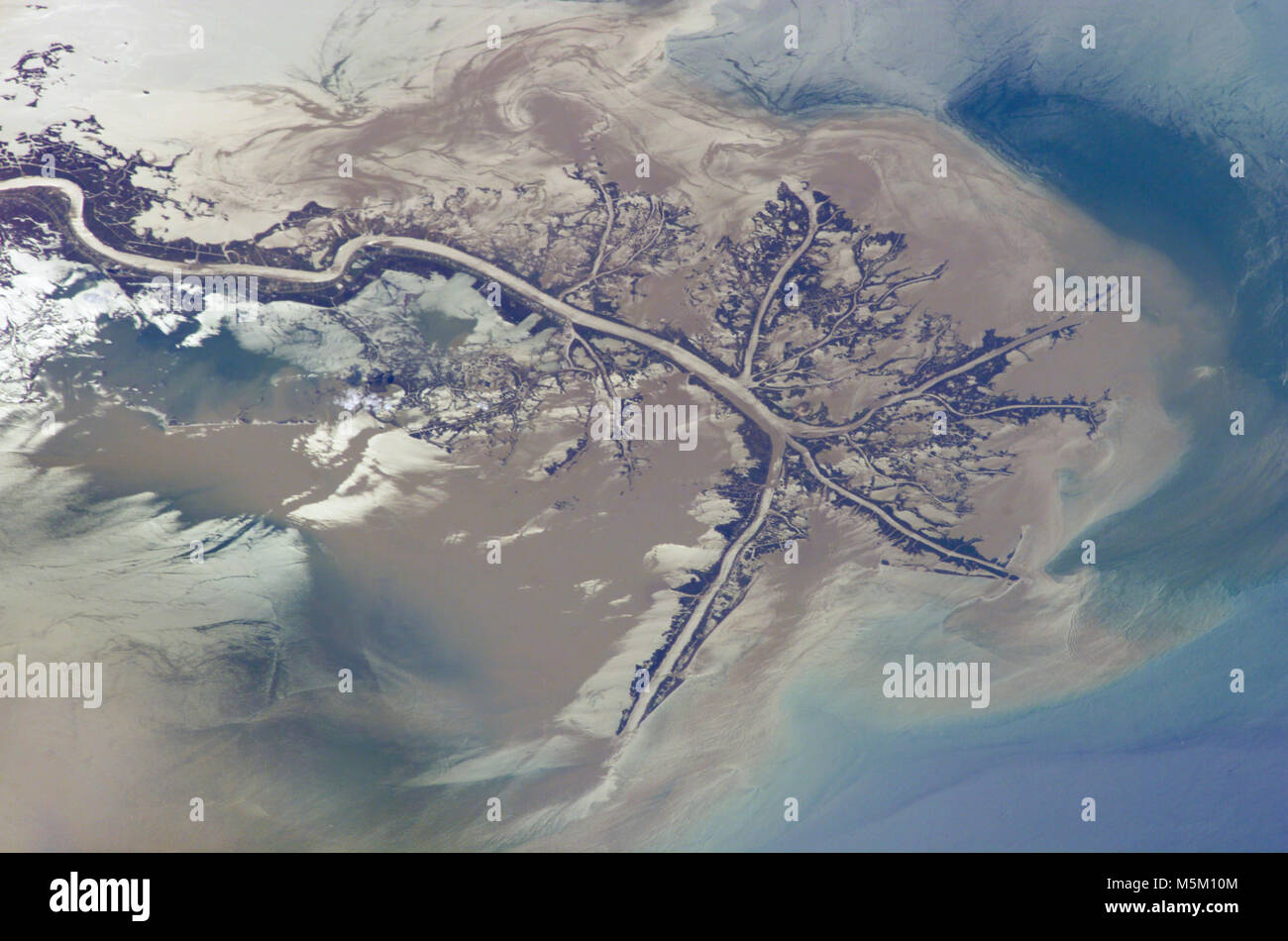 Le Delta du fleuve Mississippi, Louisiane Banque D'Images