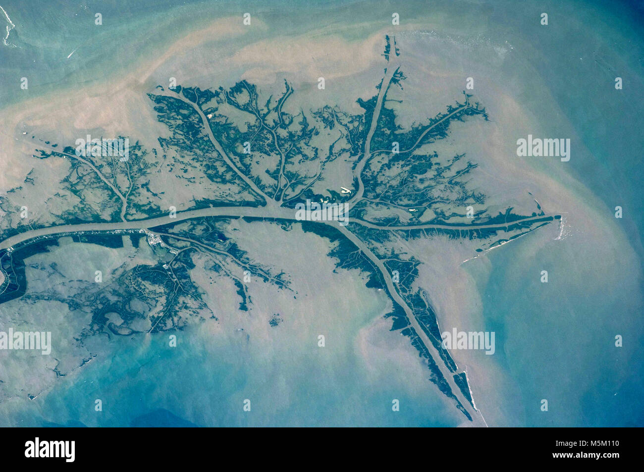Le Delta du fleuve Mississippi, Louisiane Banque D'Images