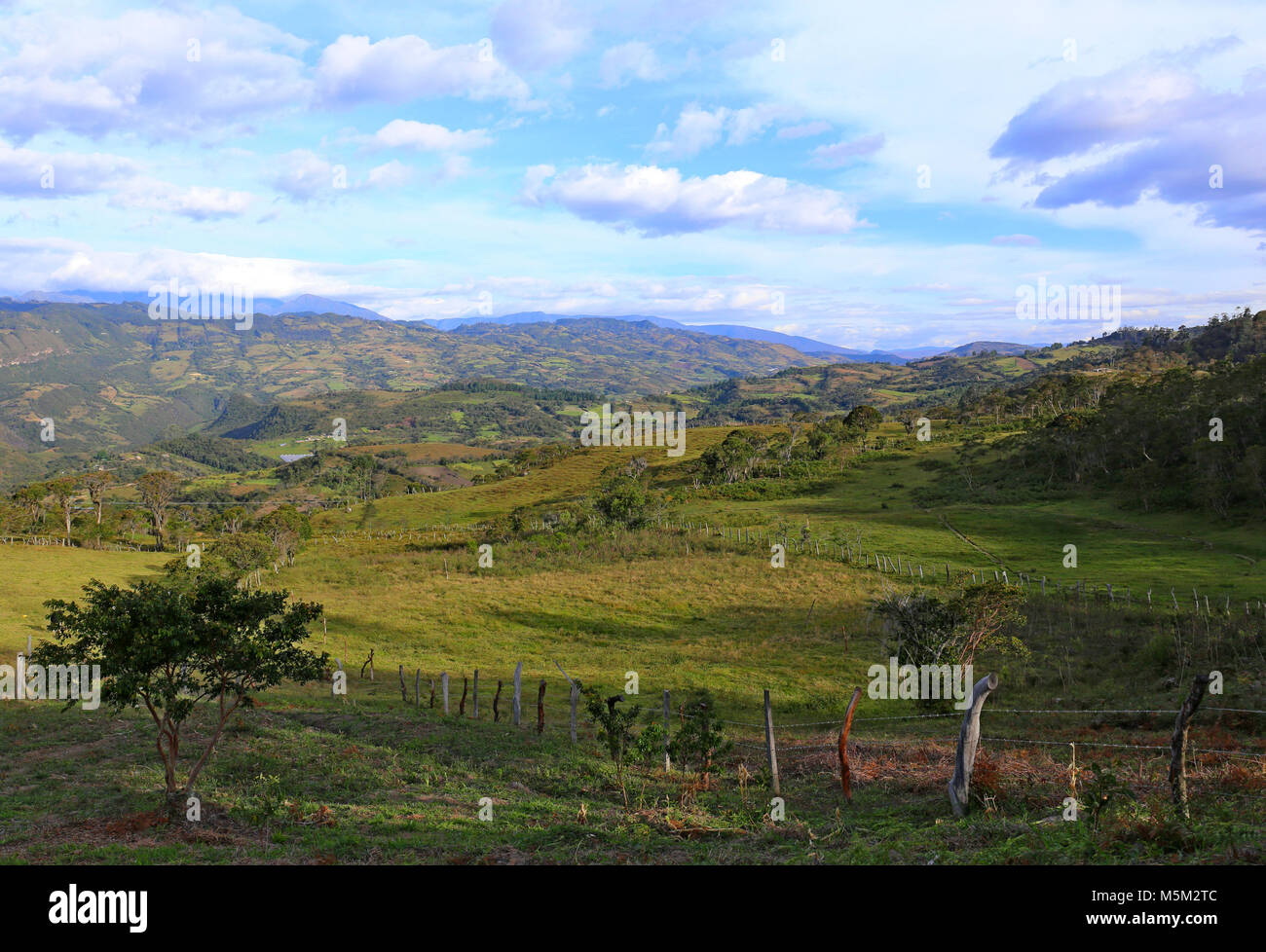 Paysage verdoyant avec des collines - paysage de la Colombie, en Amérique du Sud Banque D'Images