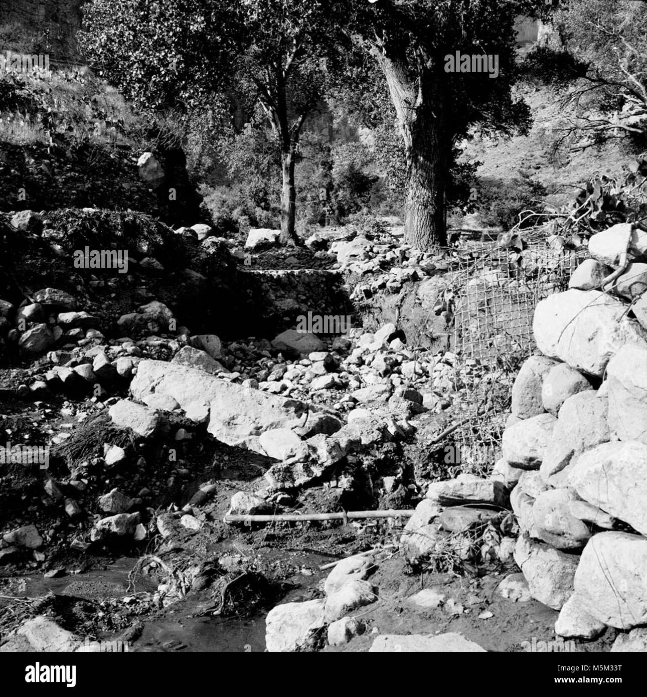 Historique Grand Canyon Bright Angel Trail . Les DÉGÂTS CAUSÉS PAR LES TEMPÊTES À INDIAN GARDENS - S.E. CORNER DE RÉSIDENCE À la recherche jusqu'au sentier. 05 août 1963. SIMMONDS ET HILL, Banque D'Images