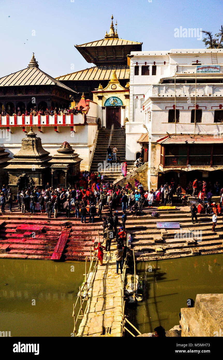 Temple de Pashupatinath Pashupatinath, complexes, UNESCO World Heritage site, Katmandou, Népal Banque D'Images