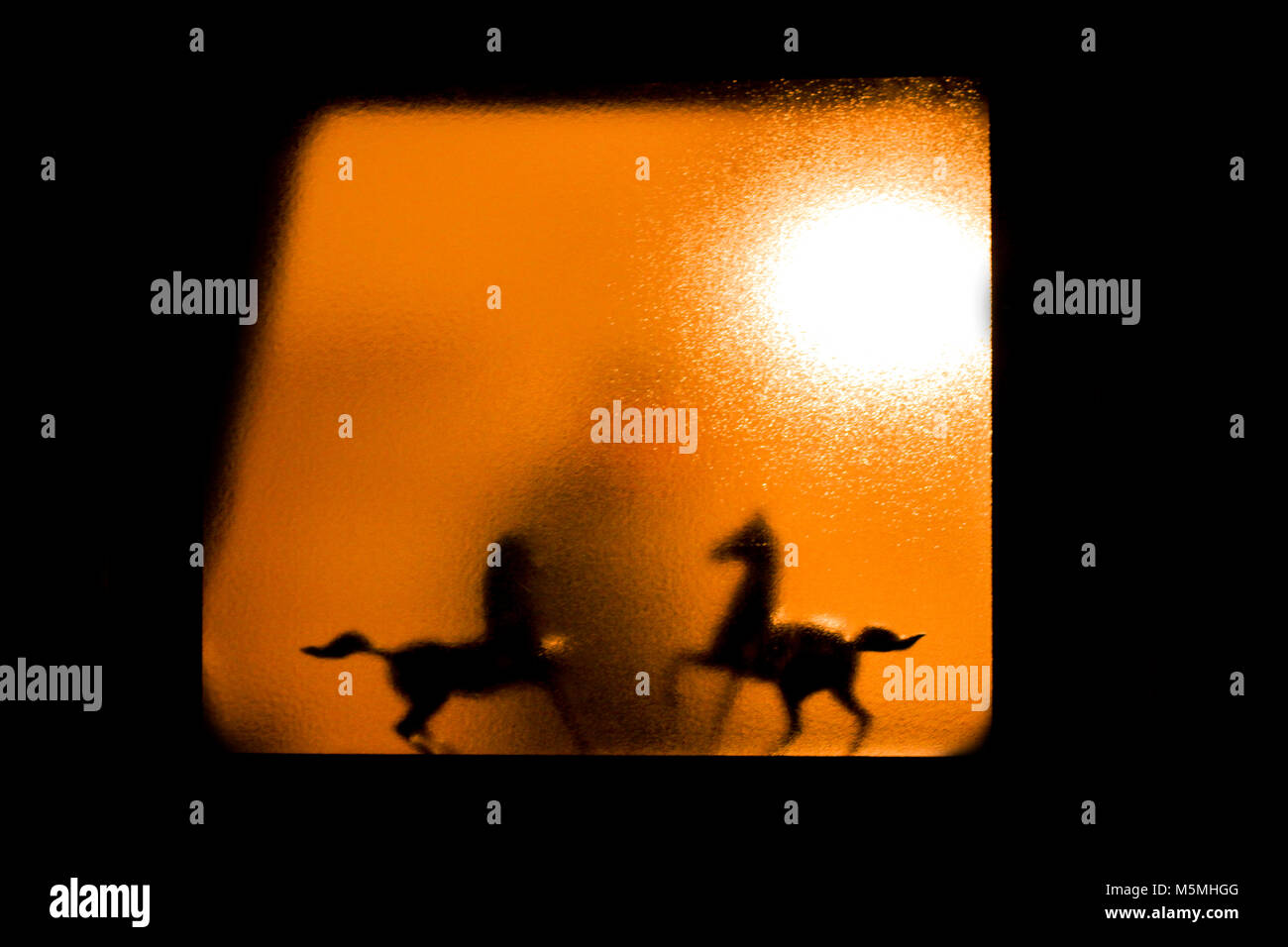 Silhouette de chevaux derrière le miroir Banque D'Images