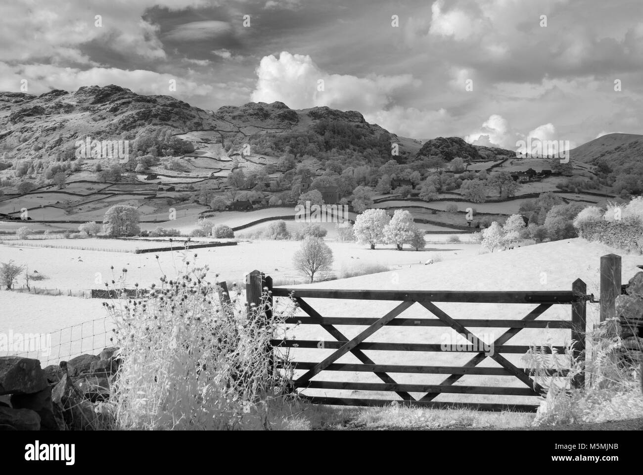 Un tournage de Kendall dans le Lake District. Reflex numérique infrarouge, journée ensoleillée, photographe Claire Allen. Belle photographie de paysage Banque D'Images