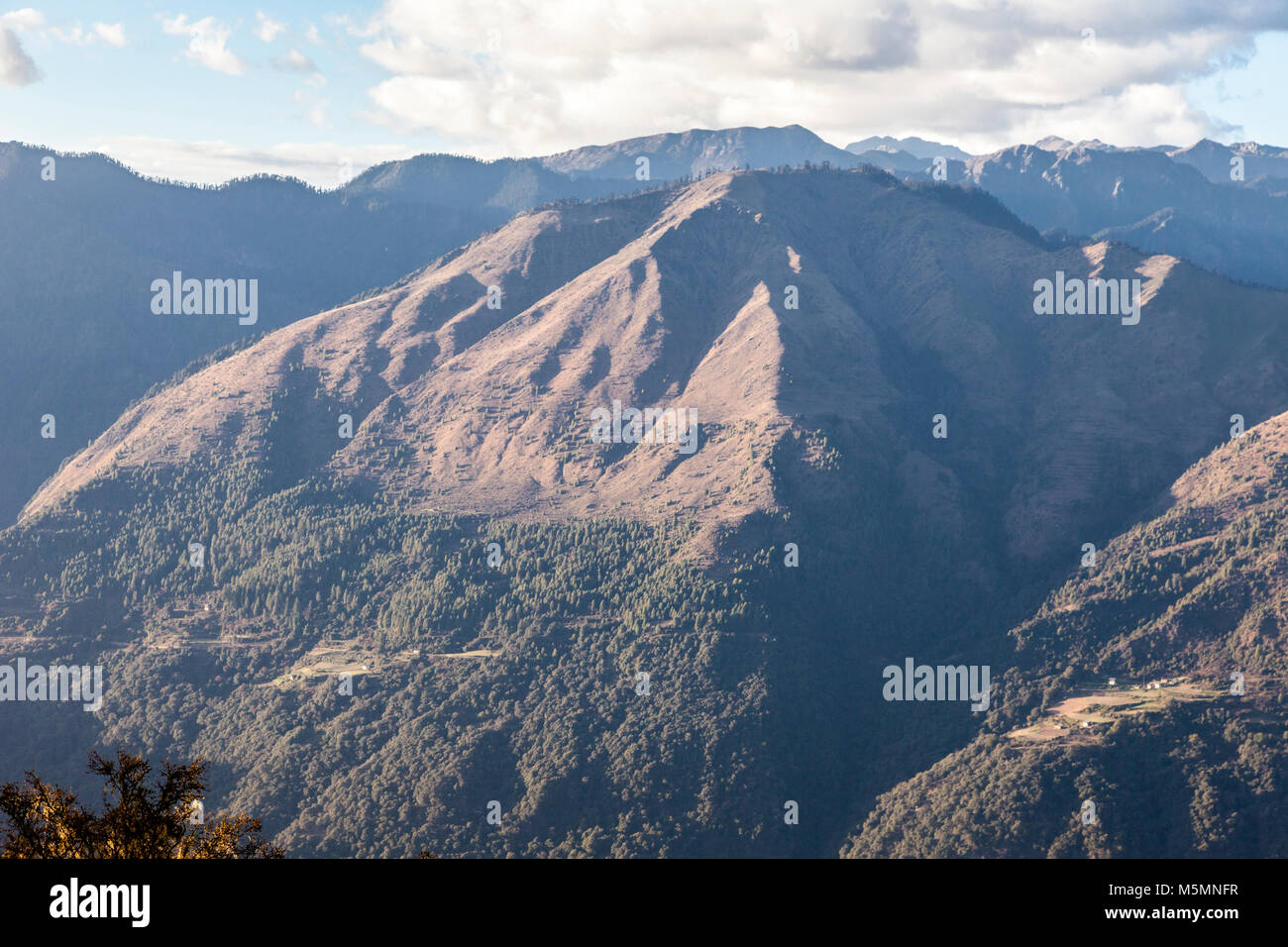 Le Bhoutan. À pied de l'Himalaya au nord de la route entre Phobjikha et Trongsa. Banque D'Images