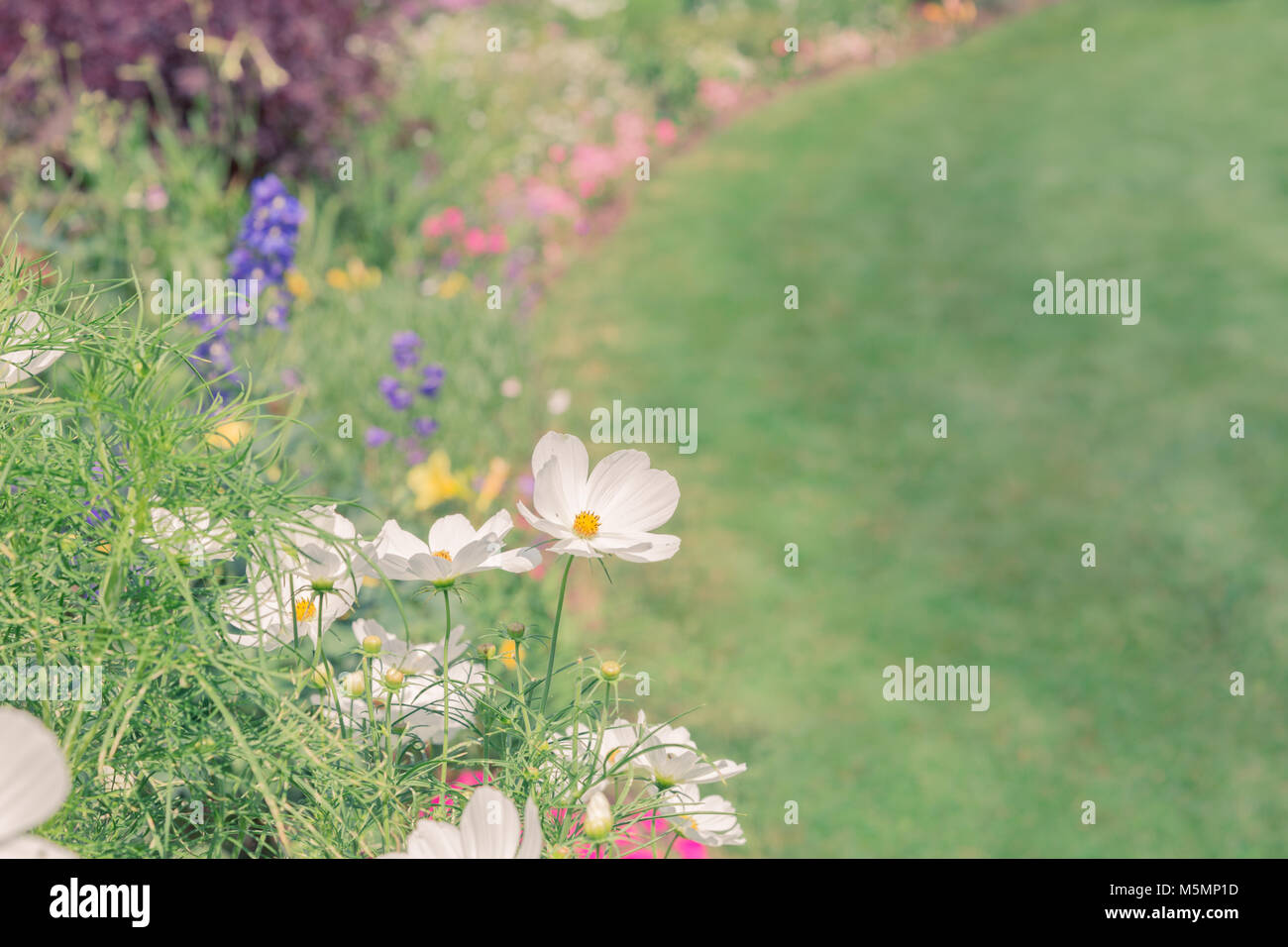 Image de ton jardin de fleurs à la frontière avec l'exemplaire de l'espace  Photo Stock - Alamy