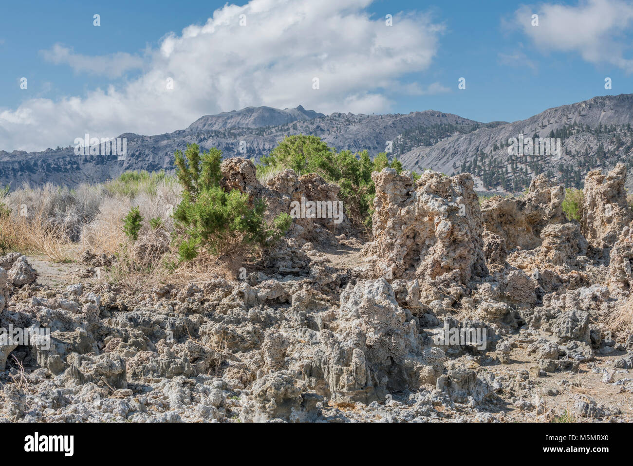 Tufas sable debout sur le lac Mono, marquant l'eau salée au cours des millénaires de récession à Lee Vining, Californie Banque D'Images
