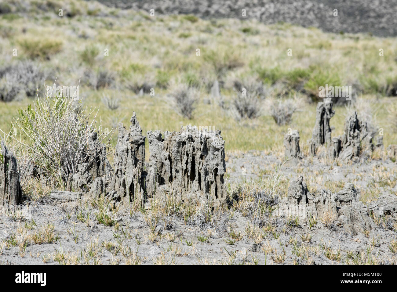 Tufas sable debout sur le lac Mono, marquant l'eau salée au cours des millénaires de récession à Lee Vining, Californie Banque D'Images