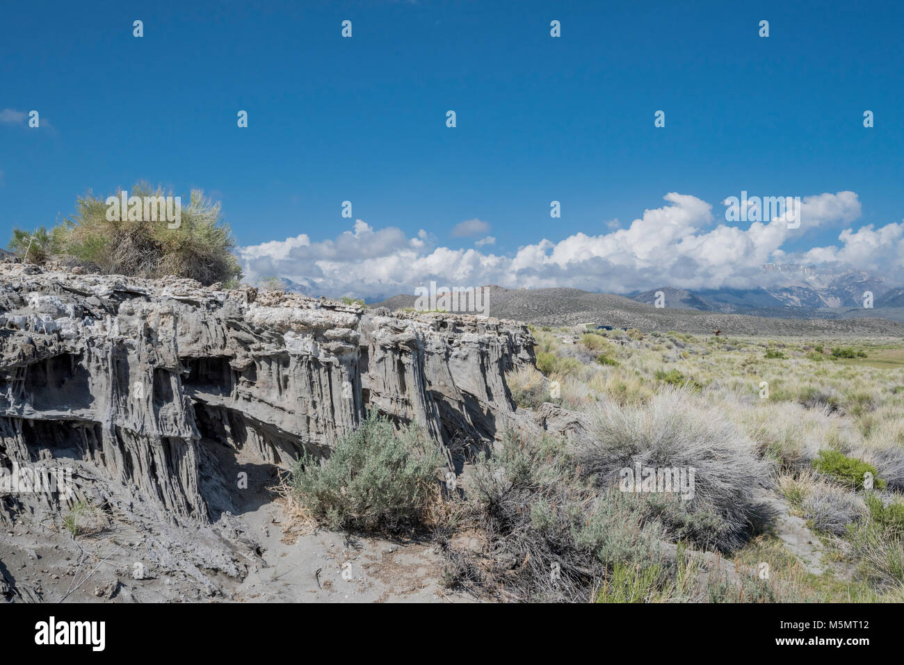 Tufas sable debout sur le lac Mono, marquant l'eau salée au cours des millénaires de récession à Lee Vining, Californie Banque D'Images
