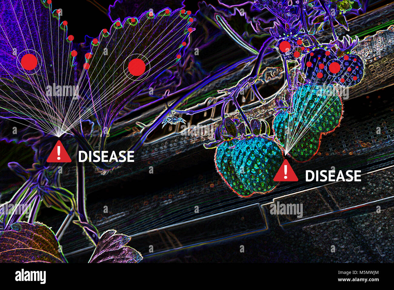 L'agriculture intelligente , internet des objets (iot) concept de la technologie. Appareil de traitement de l'image de l'intelligence artificielle identifier les maladies des plantes en strawbe Banque D'Images