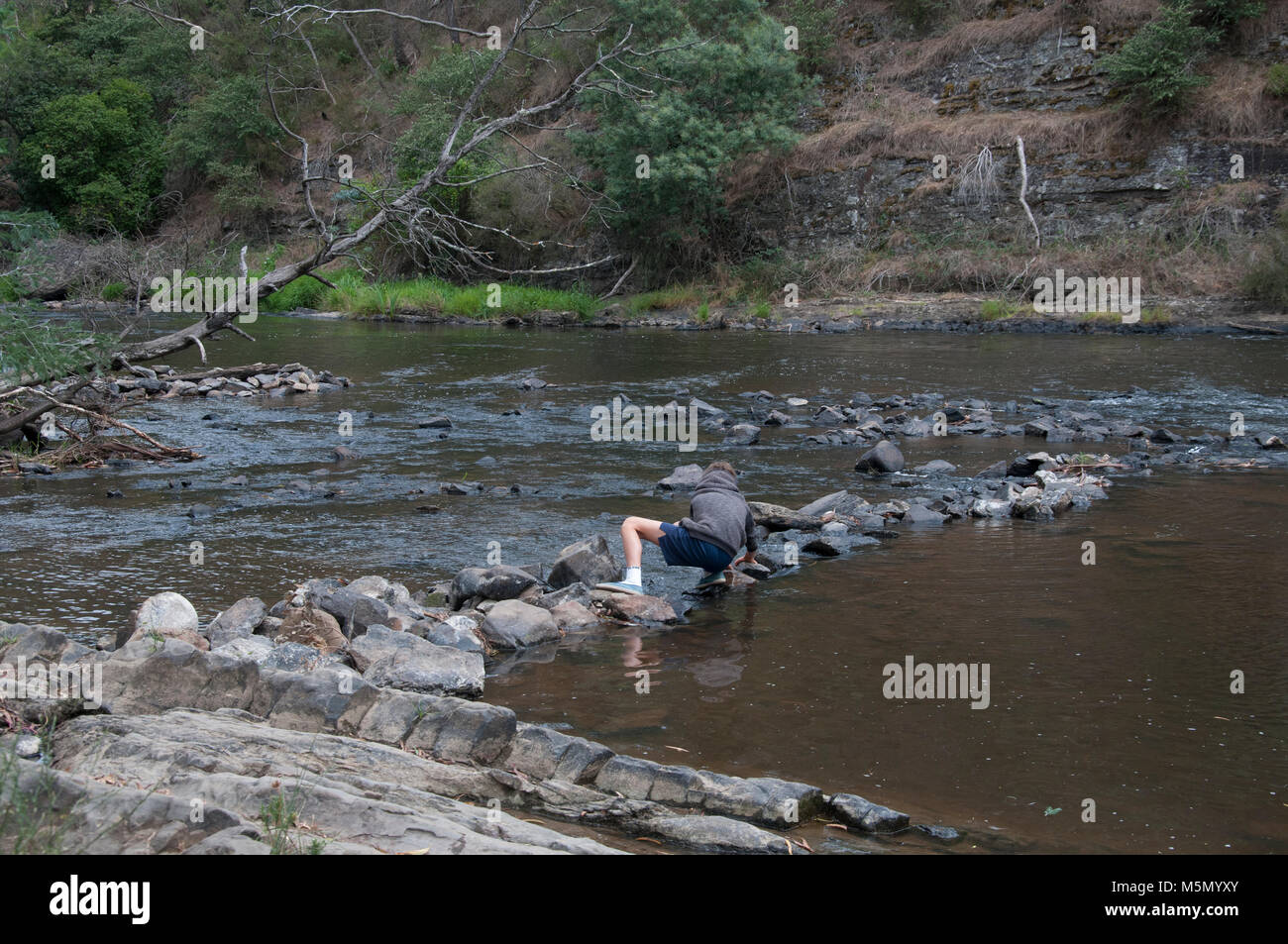 Un garçon prend des pierres dans les eaux peu profondes de la rivière Yarra à Warrandyte, Melbourne Banque D'Images