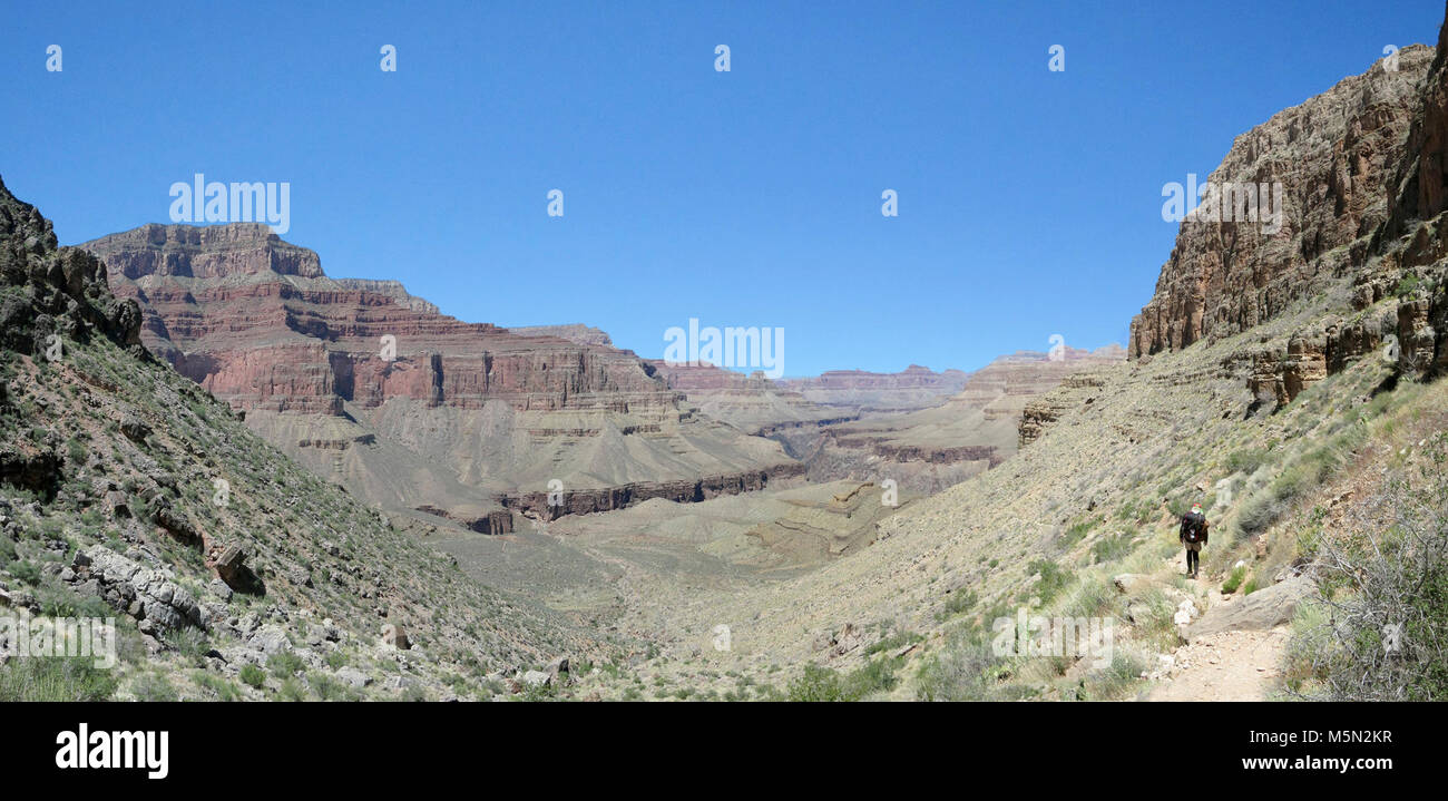 Le Parc National du Grand Canyon Sentier Hermit longue bouffée . La Cathédrale de randonneur ci-dessous sur le long escalier qui mène à la glisser Serpent, une série de lacets sur le versant ouest de la Butte qui descendent vers le plateau de Tonto, et l'intersection avec le sentier de tonto. Tonto, le sentier est un transcanyon route qui permet l'accès dans les deux sens : l'est à l'ouest, le ruisseau Monument à Hermit Creek. Tournez à gauche (ouest) et fol Banque D'Images