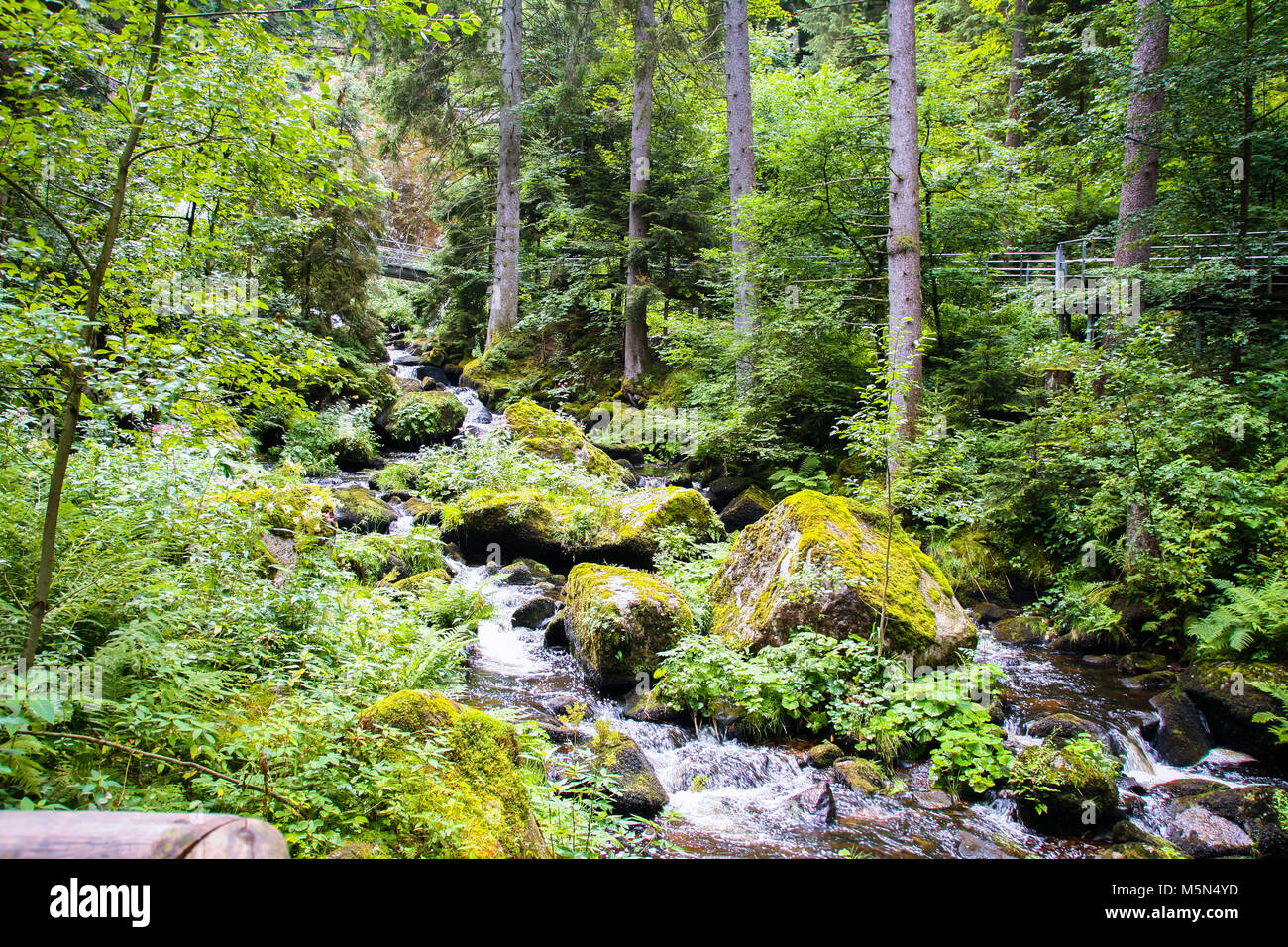 Rivière à Gutach Gutach, dans la forêt noire , baden wuttemberg, Allemagne Banque D'Images