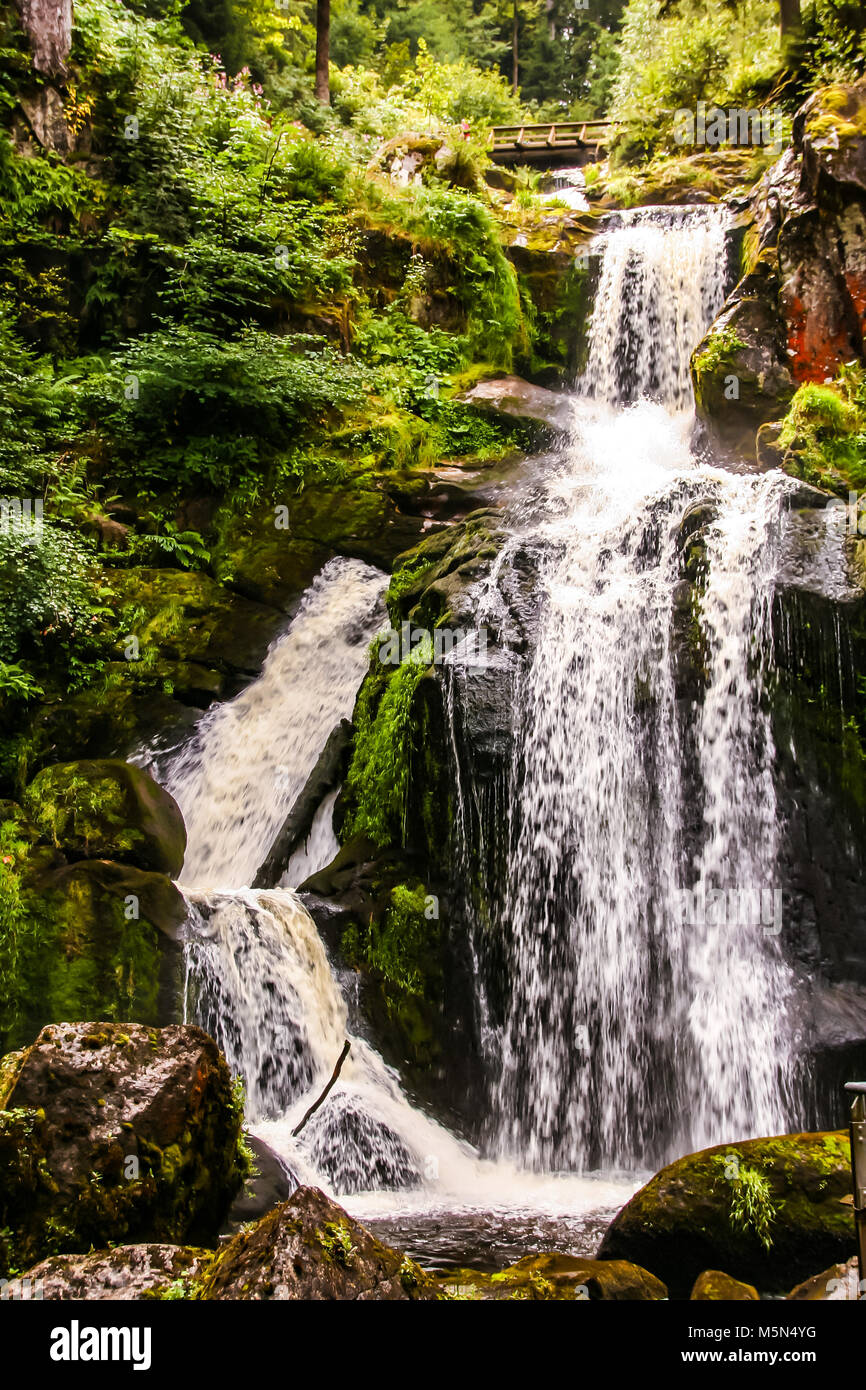 La plus haute cascade d'Allemagne à Triberg, dans la forêt noire , baden wuttemberg Banque D'Images