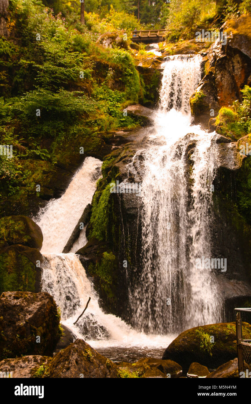 La plus haute cascade d'Allemagne à Triberg, dans la forêt noire , baden wuttemberg Banque D'Images