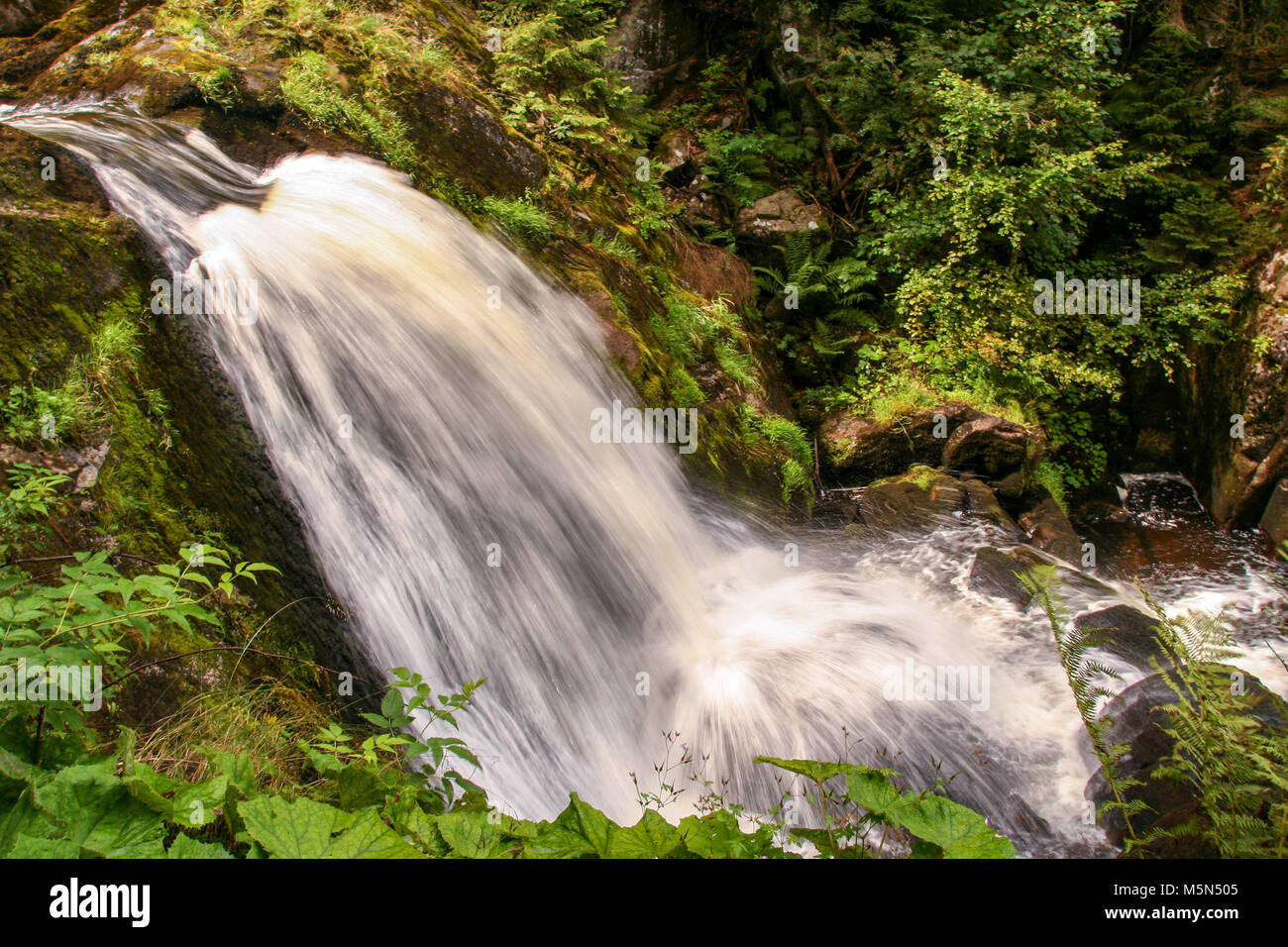 La plus haute cascade d'Allemagne à Triberg, dans la forêt noire , baden wuttemberg Banque D'Images