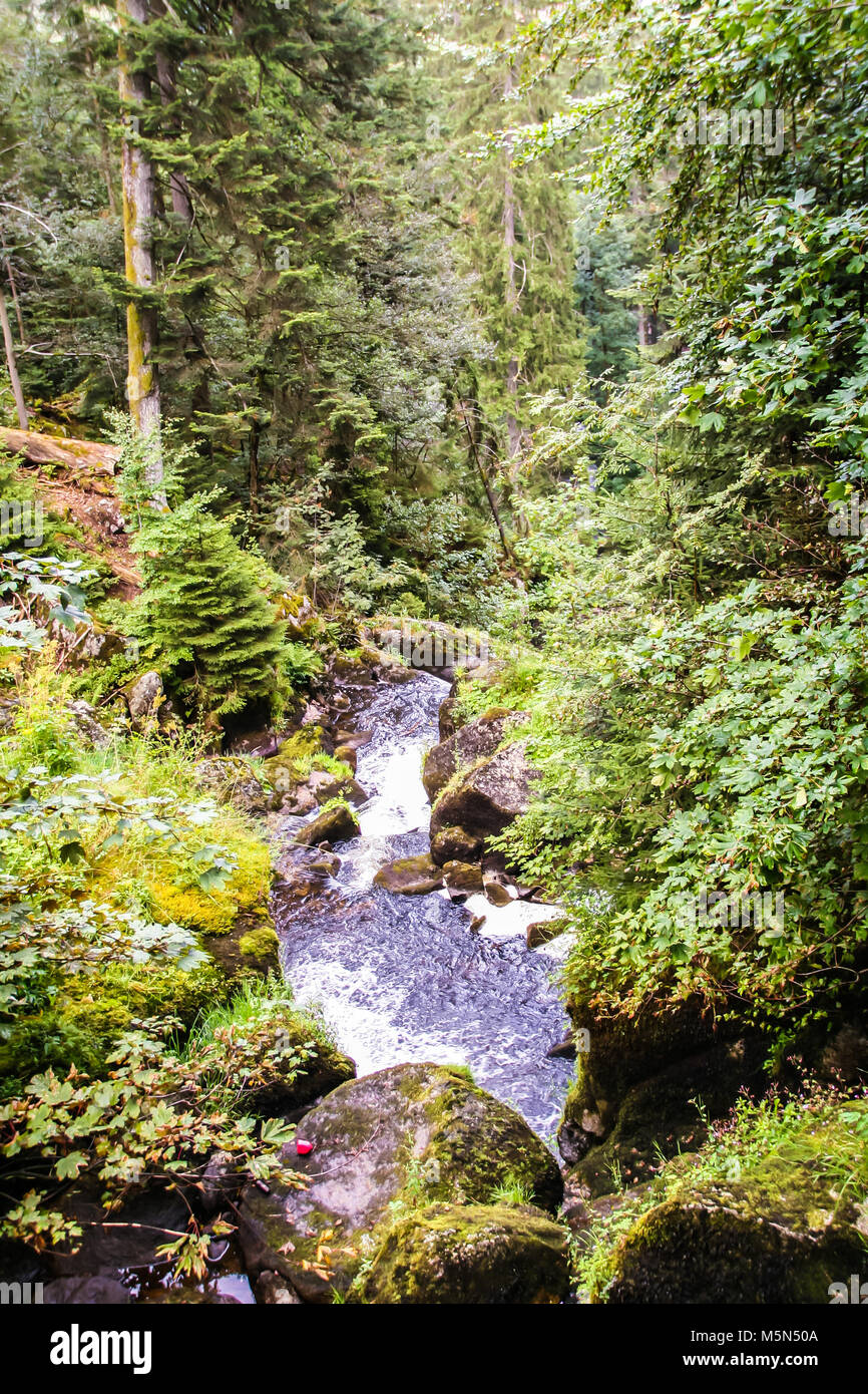 Rivière à Gutach Gutach, dans la forêt noire , baden wuttemberg, Allemagne Banque D'Images