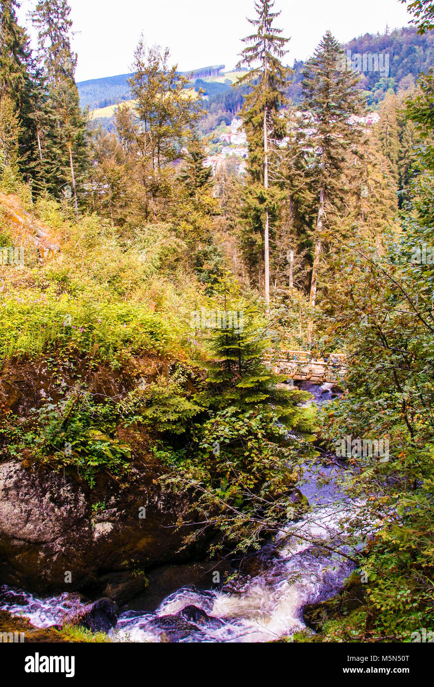 Rivière à Gutach Gutach, dans la forêt noire , baden wuttemberg, Allemagne Banque D'Images