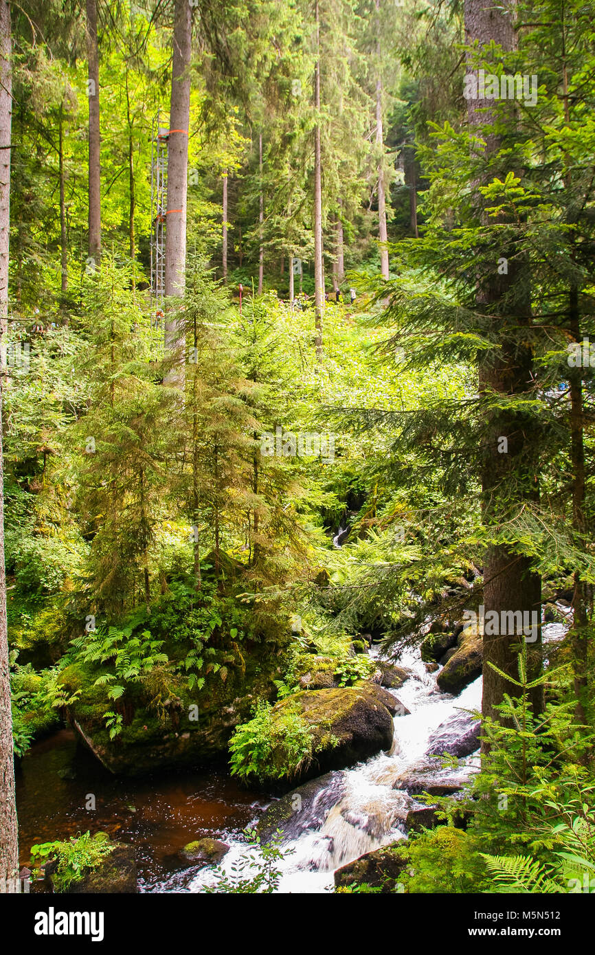 Rivière à Gutach Gutach, dans la forêt noire , baden wuttemberg, Allemagne Banque D'Images