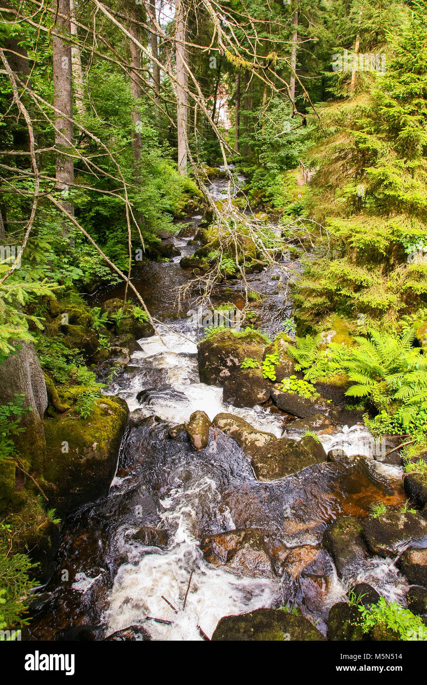 Rivière à Gutach Gutach, dans la forêt noire , baden wuttemberg, Allemagne Banque D'Images