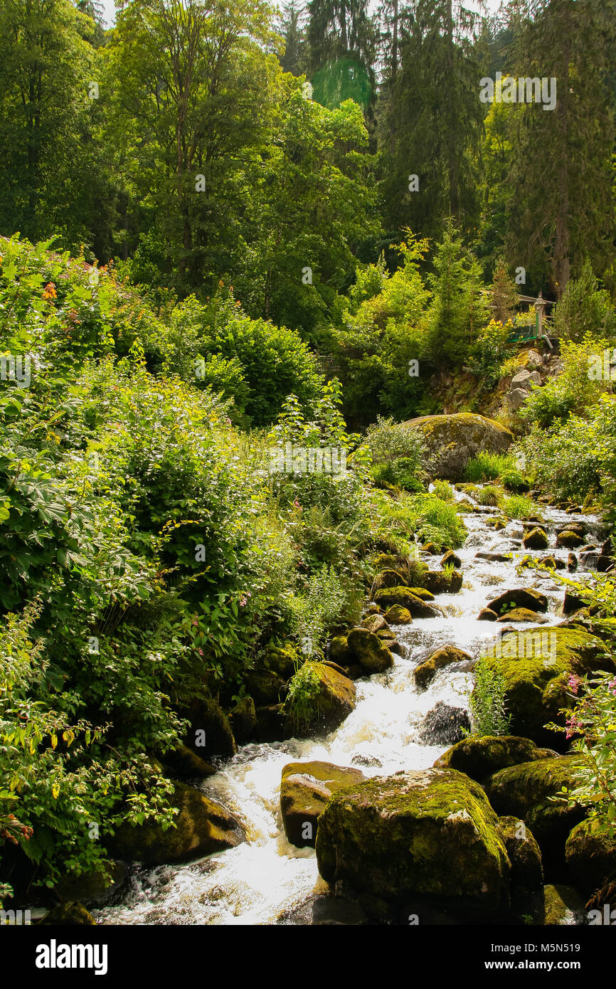 Rivière à Gutach Gutach, dans la forêt noire , baden wuttemberg, Allemagne Banque D'Images