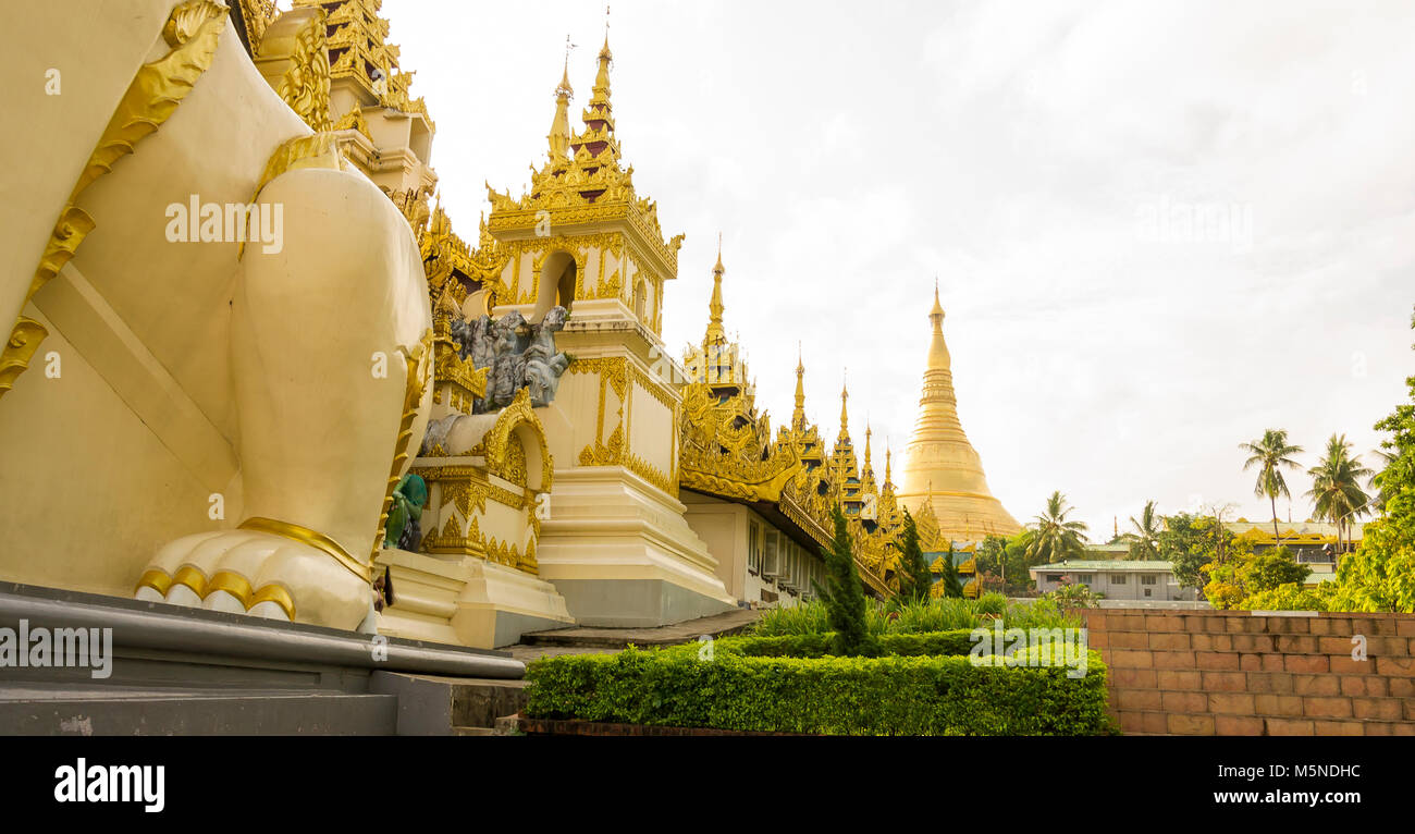 Pagode Shwedagon à Rangoon, Myanmar Banque D'Images