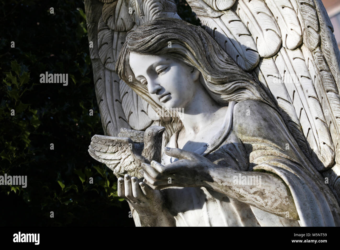 Un Ange Avec Une Colombe Sculpture Dans Le Cimetière La Figure D