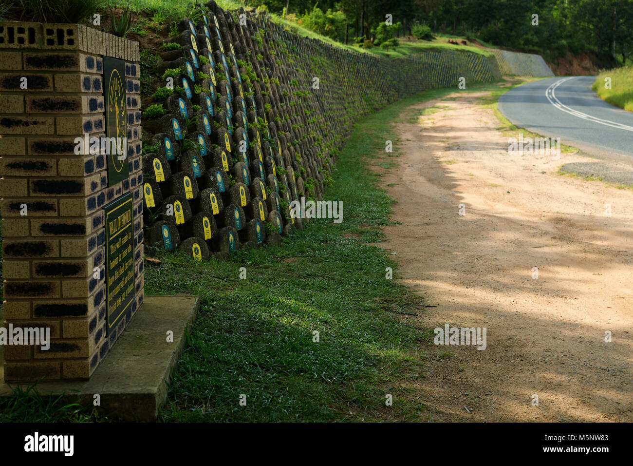 Mur d'honneur, pour la course à l'arrivée le long de l'itinéraire du célèbre long distance camarades Marathon, événement KwaZlu-Natal Banque D'Images