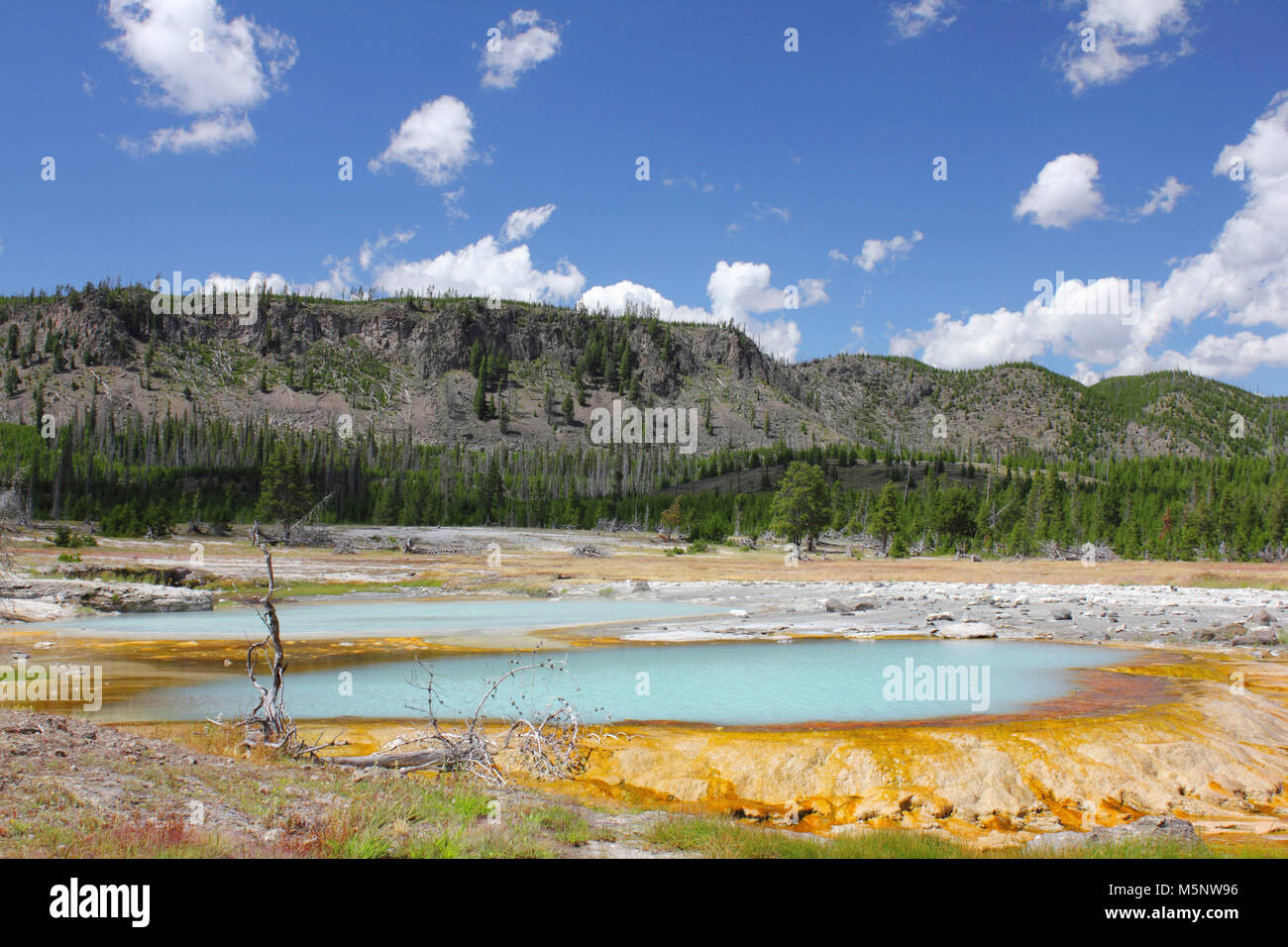 Hot Spring, le Parc National de Yellowstone, Wyomimg, USA Banque D'Images