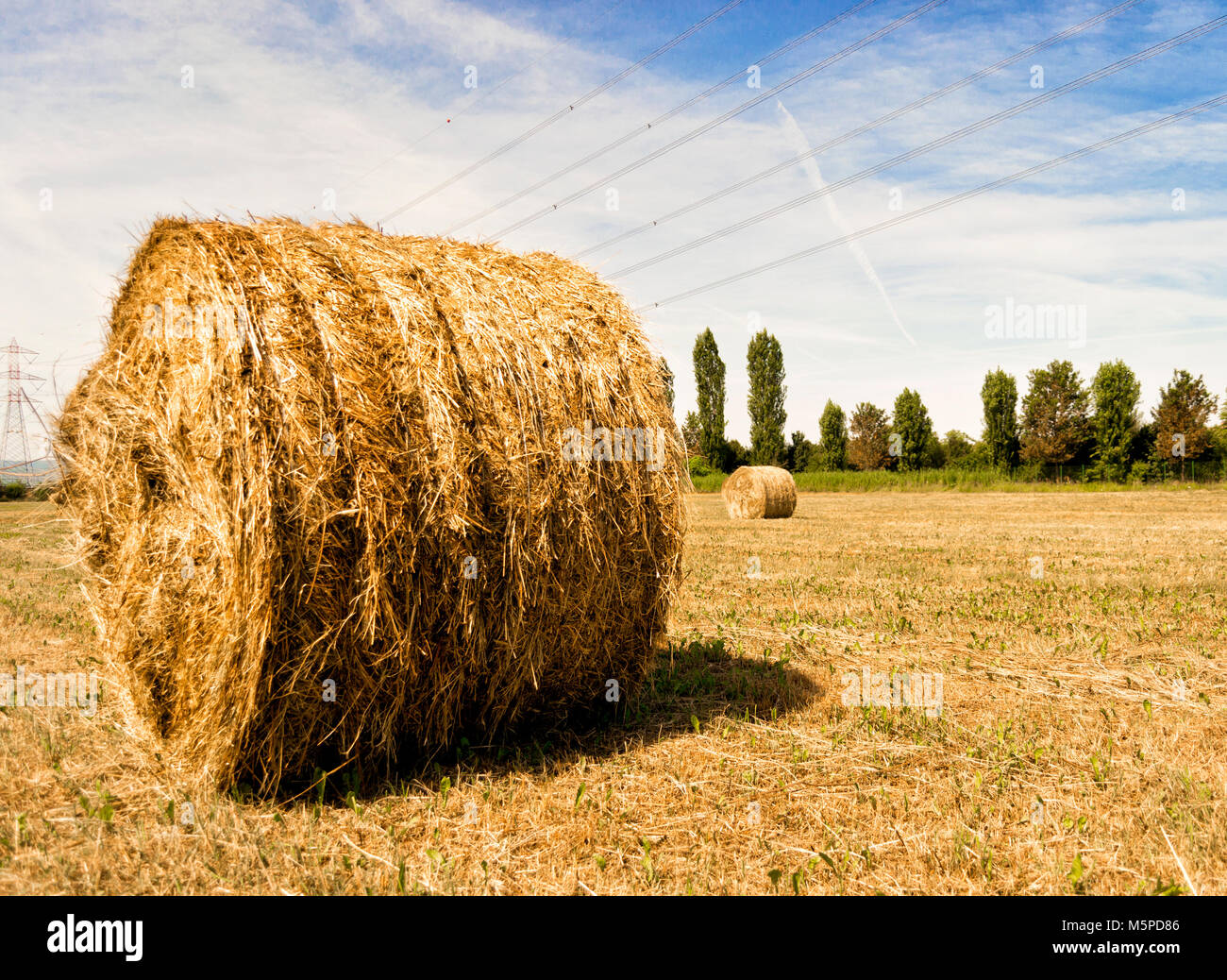 Balles de foin dans champ. de droit rural à la fin de la culture du blé Banque D'Images
