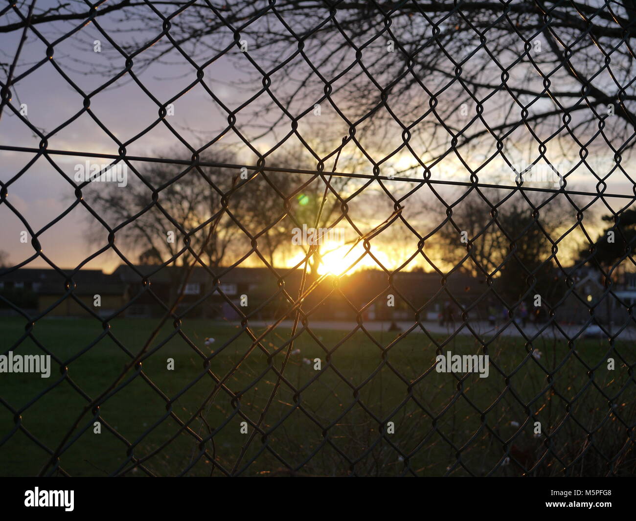 Coucher de soleil sur le terrain de jeu, twilight scène avec aire de gazon et nuage d'hiver avec arbres surplombant la silhouette du radieux soleil rougeoyant Banque D'Images