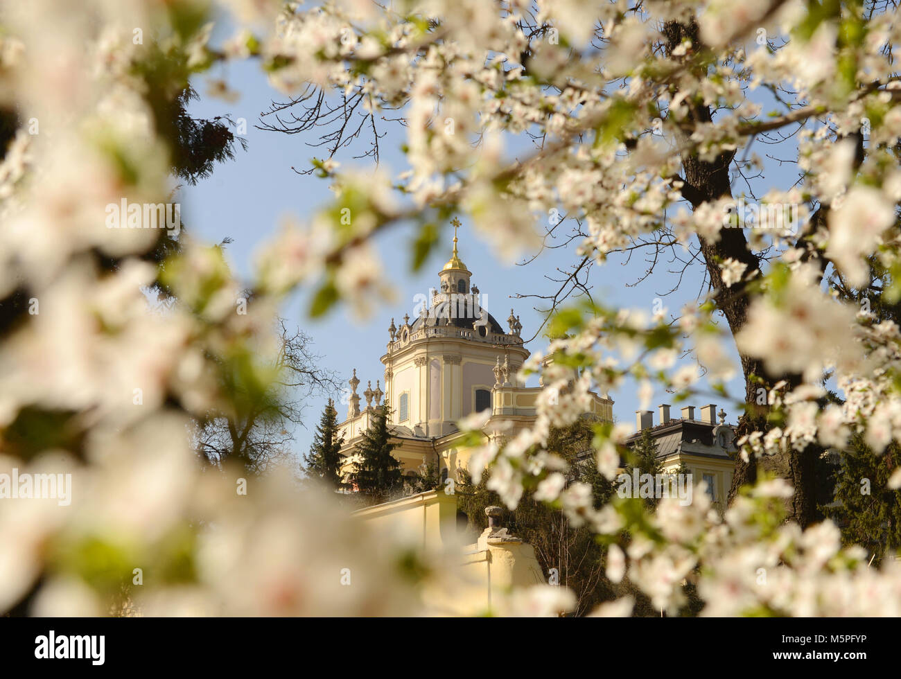 La Cathédrale Saint Georges de Lviv, Ukraine Banque D'Images