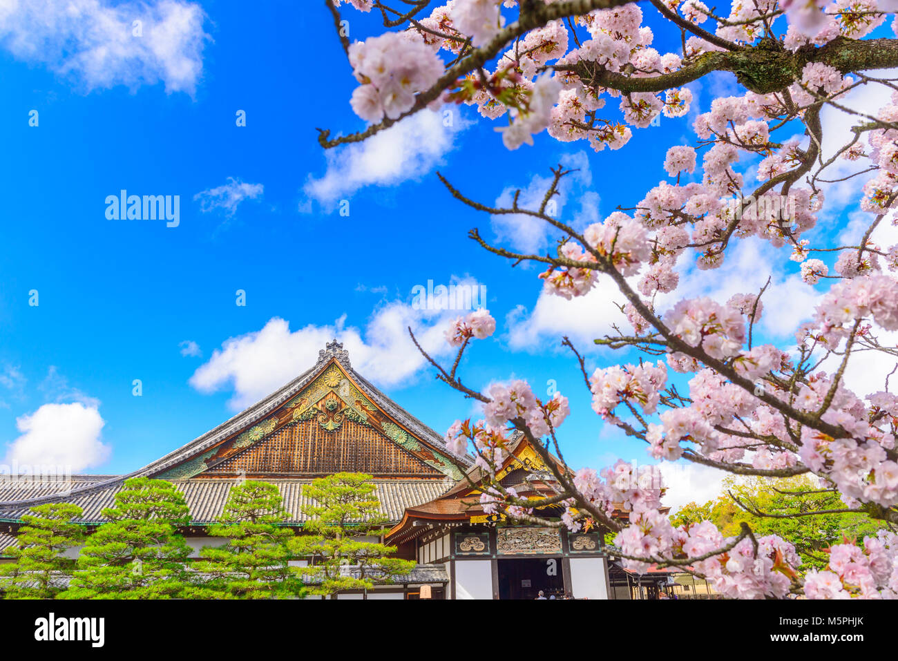 Kyoto, Japon à la Palais Ninomaru du château de Nijo durant la saison du printemps. (L'inscription se lit comme suit : 'Ninomaru Palace) Banque D'Images