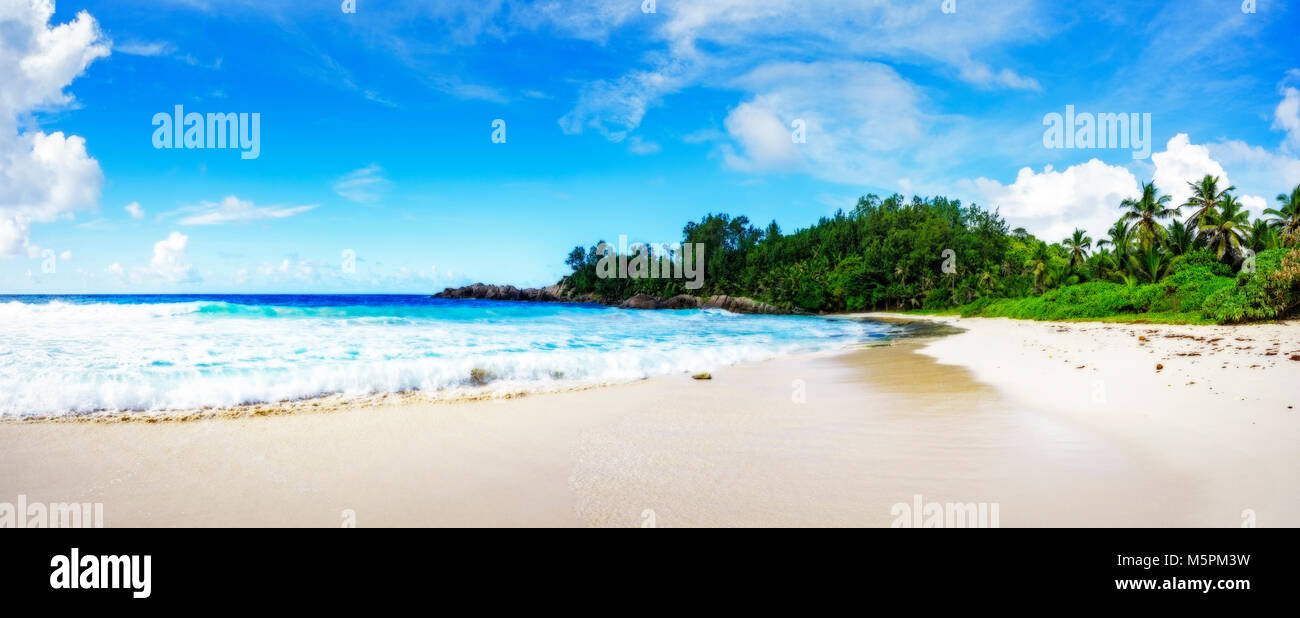 Panorama de la plage tropicale avec palmiers, rochers de granit, de sable blanc et eau turquoise, la police bay, seychelles Banque D'Images