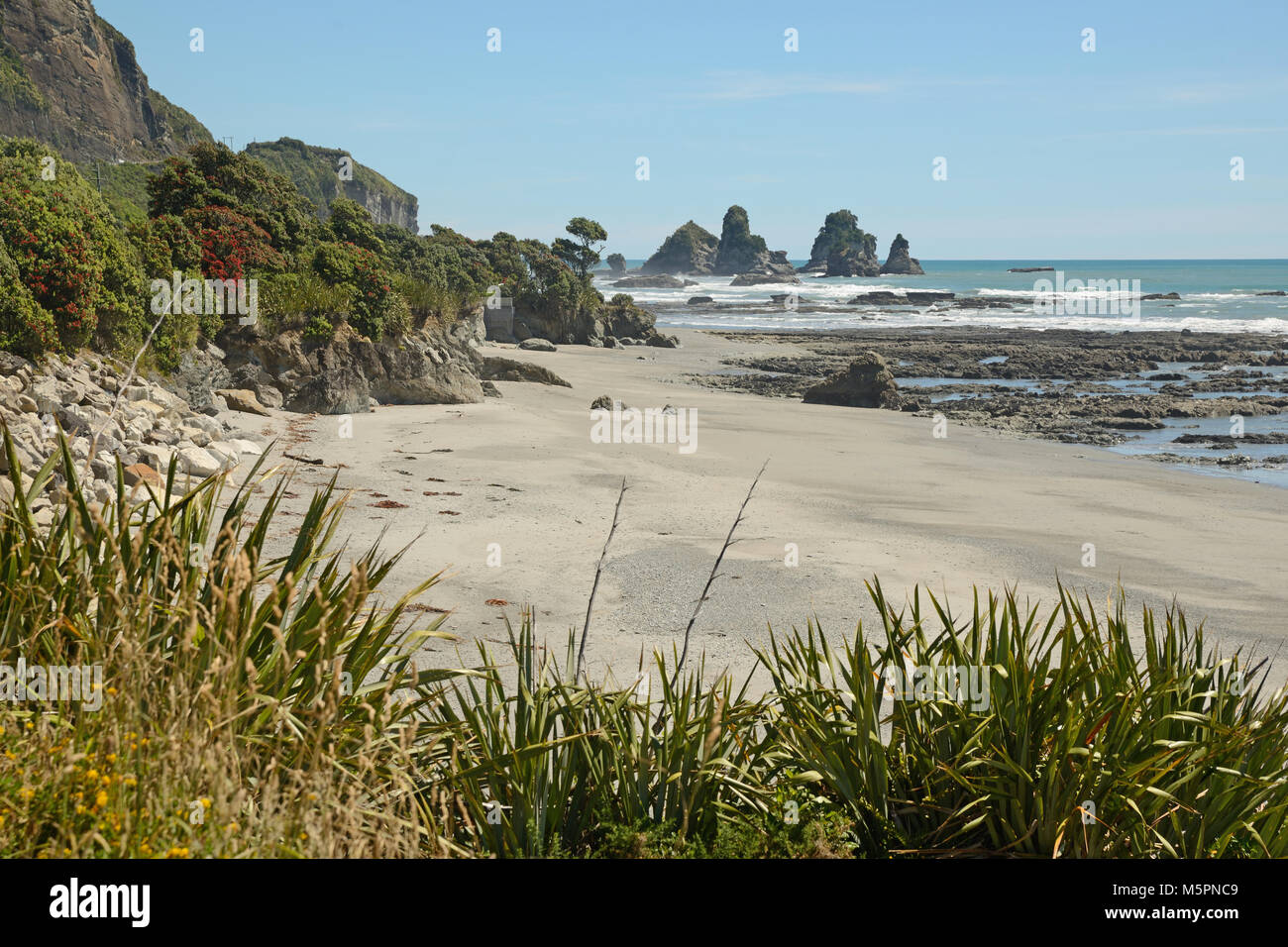 Marée basse à une plage de la côte ouest, île du Sud, Nouvelle-Zélande Banque D'Images