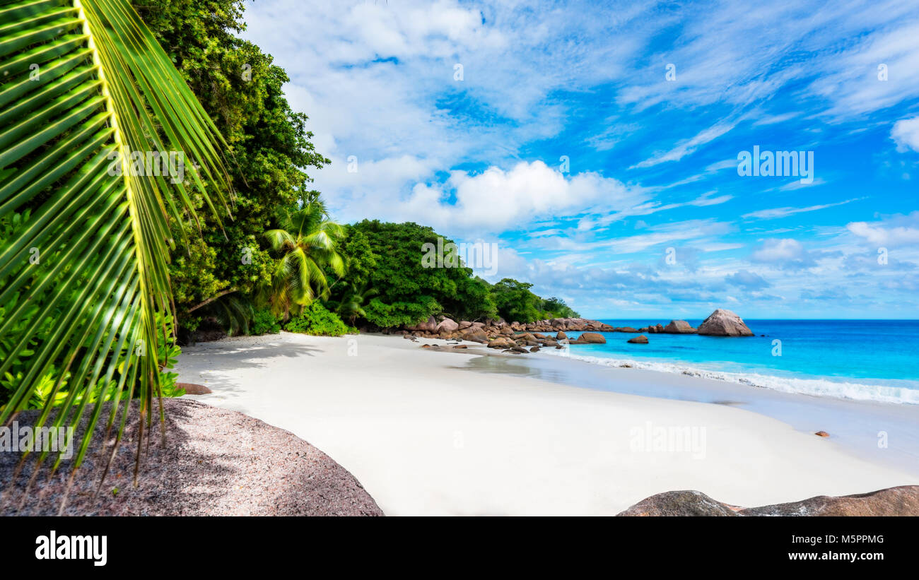 Amazing belle Paradise beach.Le sable blanc,l'eau turquoise, palmiers au Tropical Beach Anse Lazio, Praslin, seychelles Banque D'Images