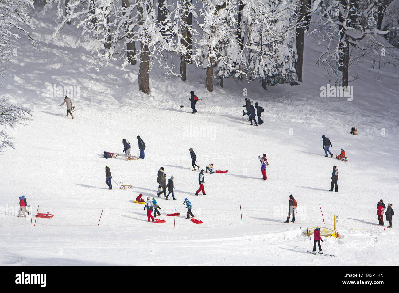 Un groupe de personnes et enfants luge et le ski dans la neige en hiver Banque D'Images